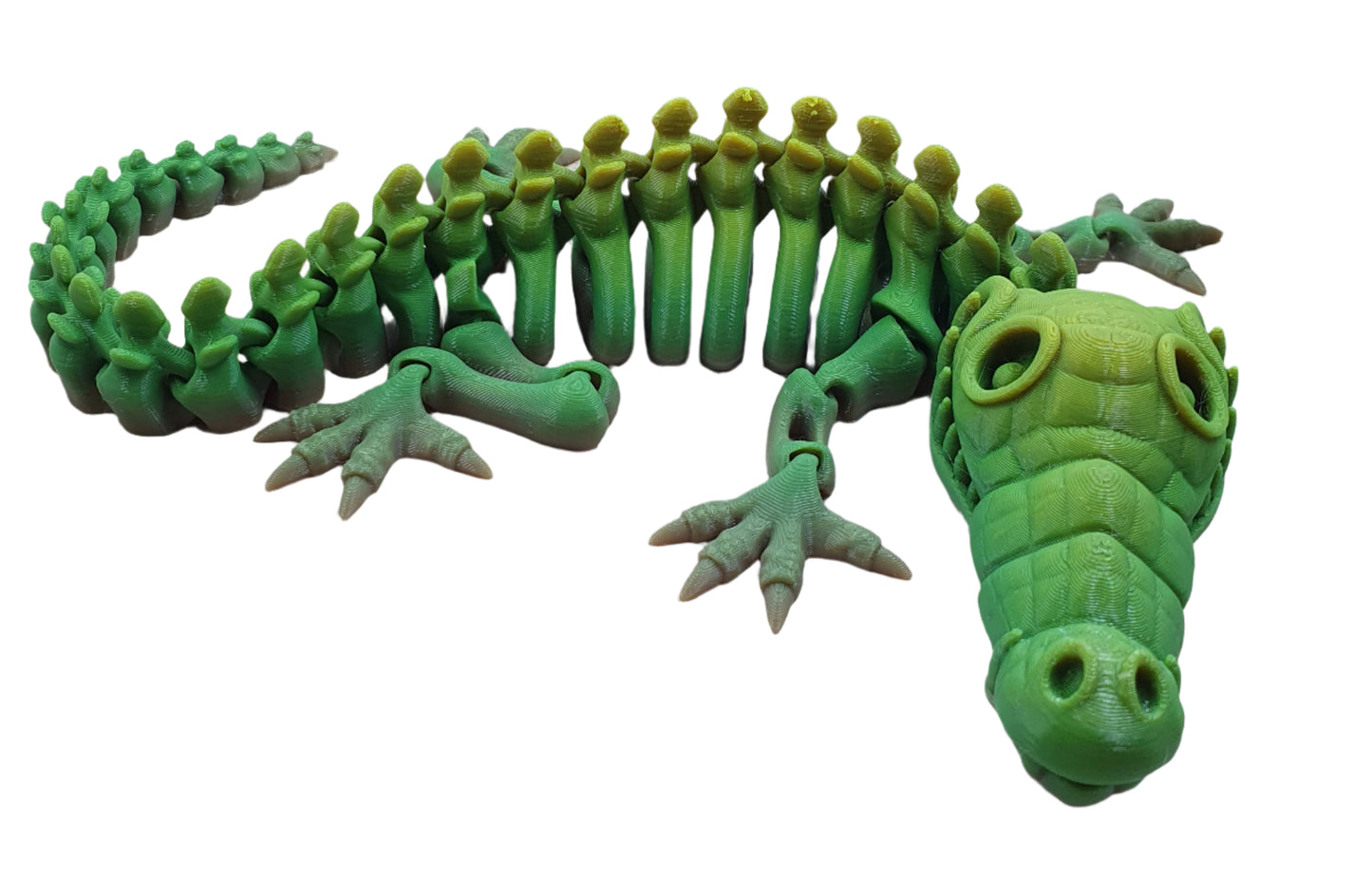 Skeleton Crocodiles