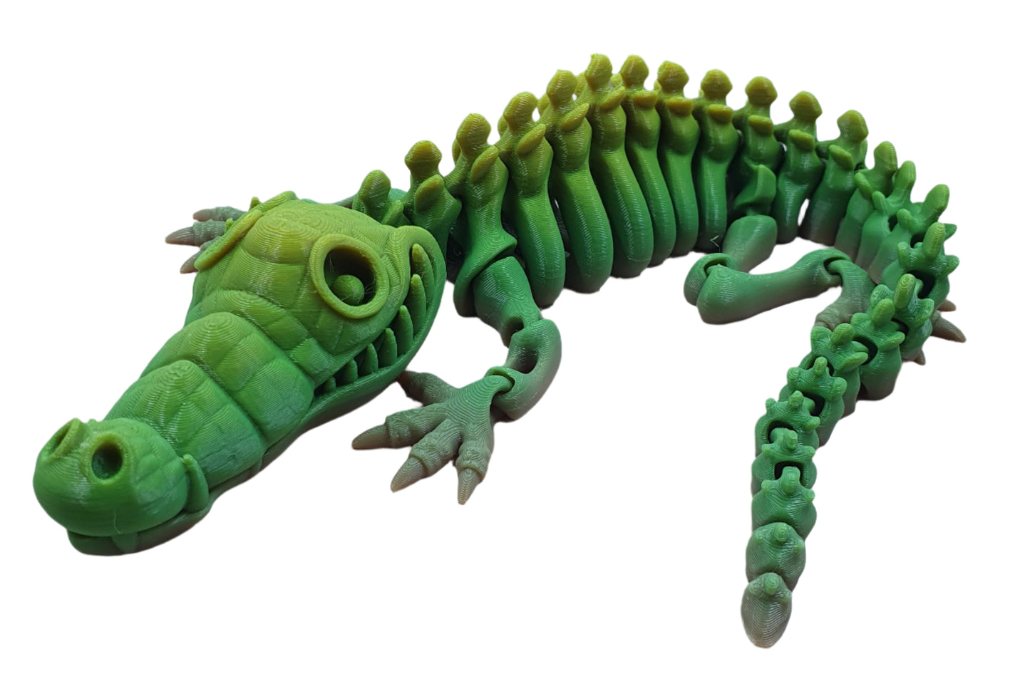 Skeleton Crocodiles