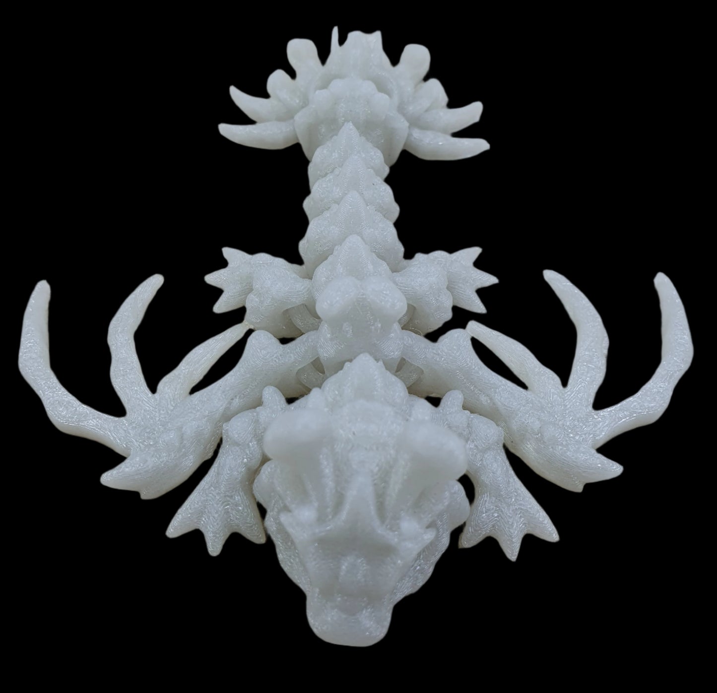 Baby Hollow Dragons