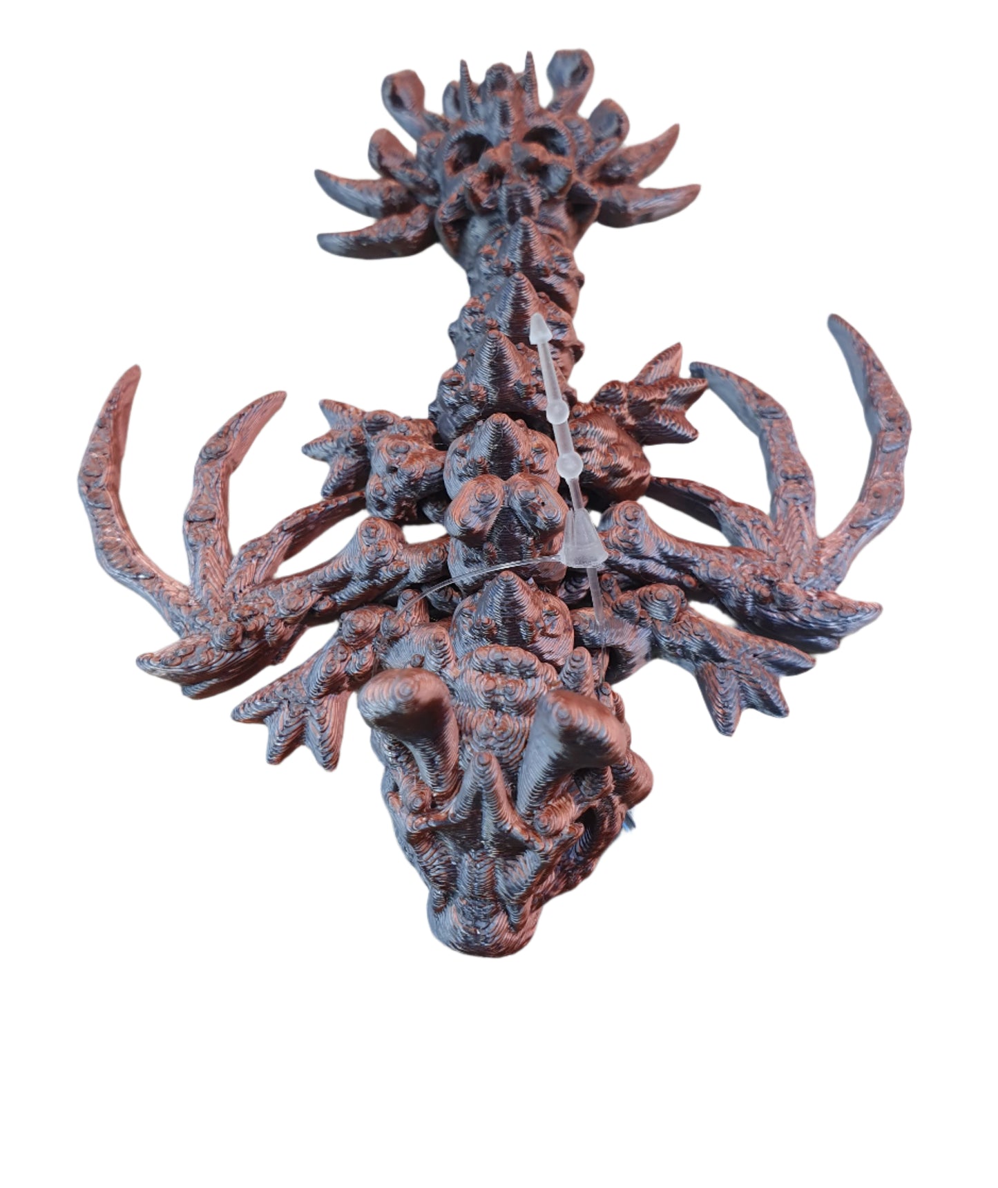 Baby Hollow Dragons