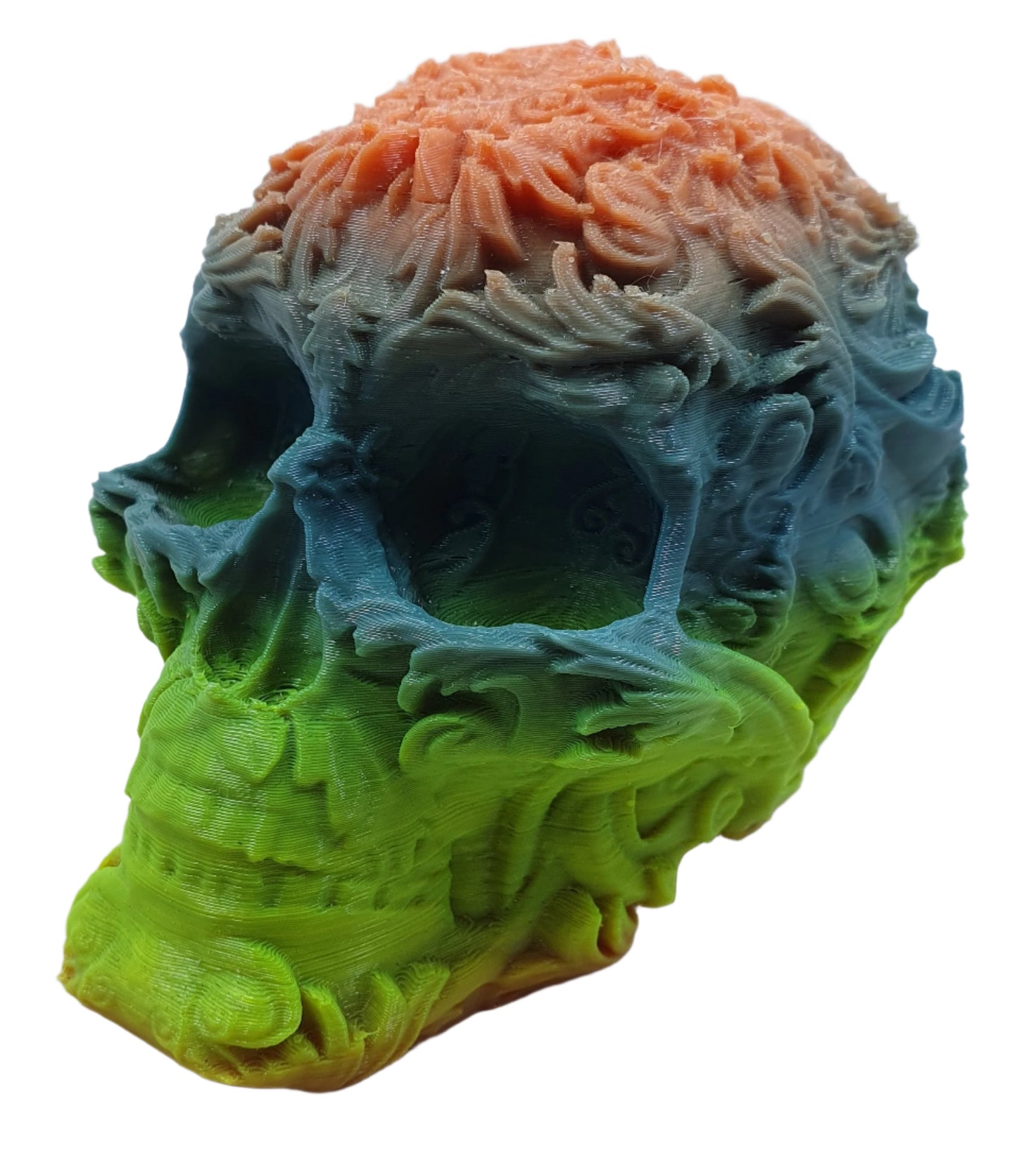 Skull - Large