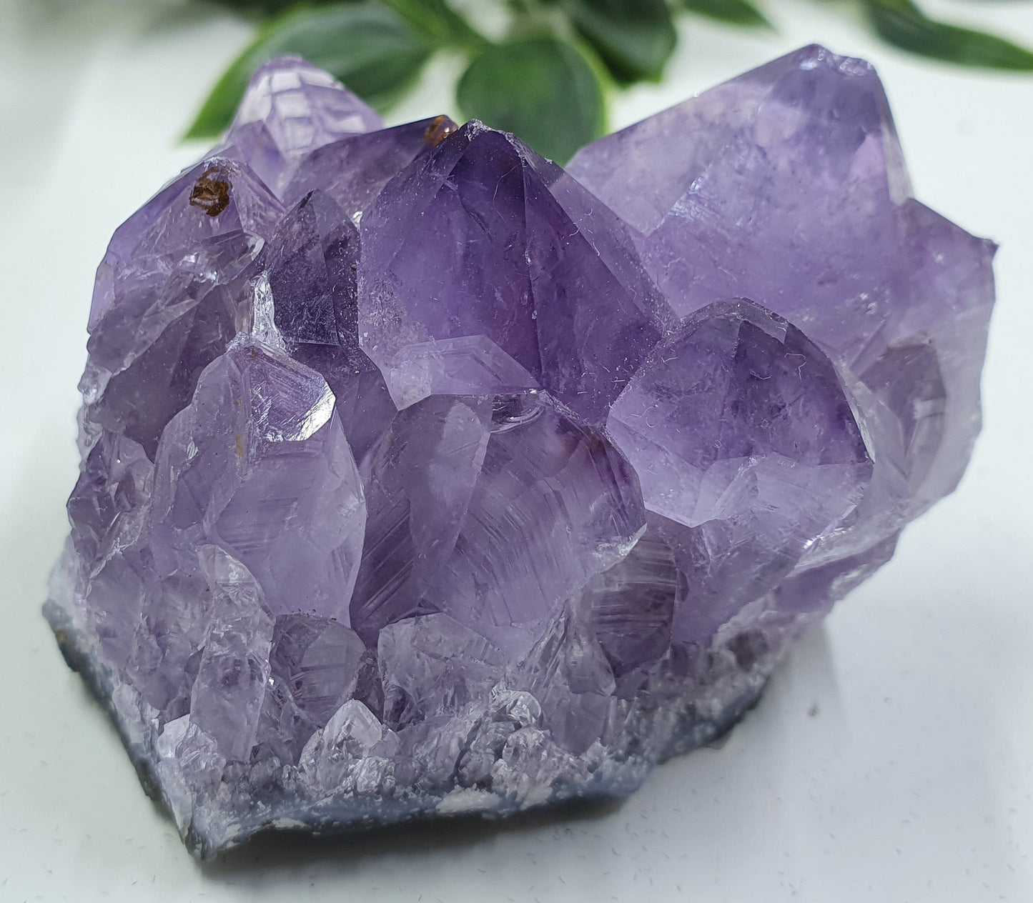 Amethyst Cluster #2