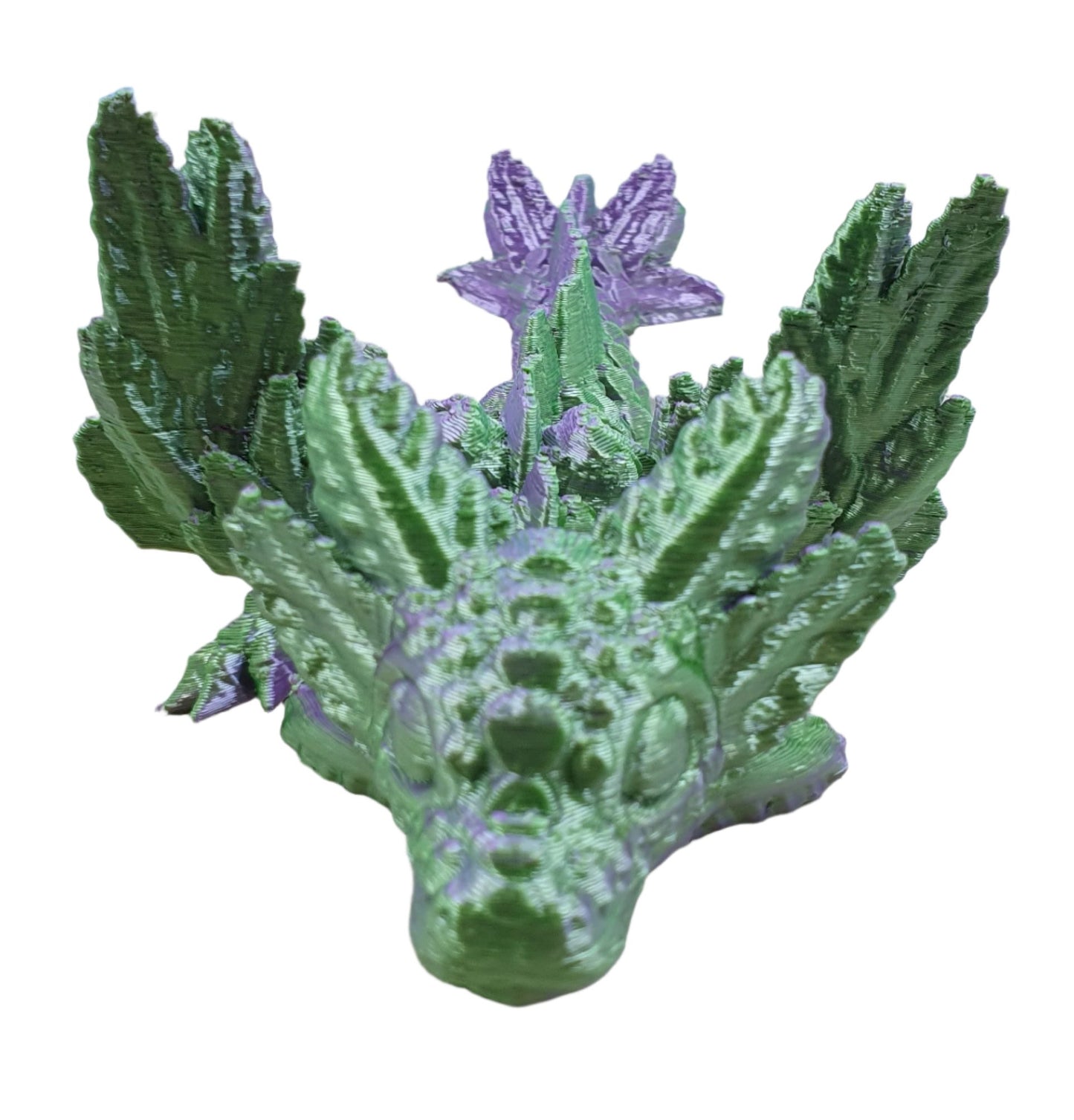 Baby Axolotl Winged Dragons
