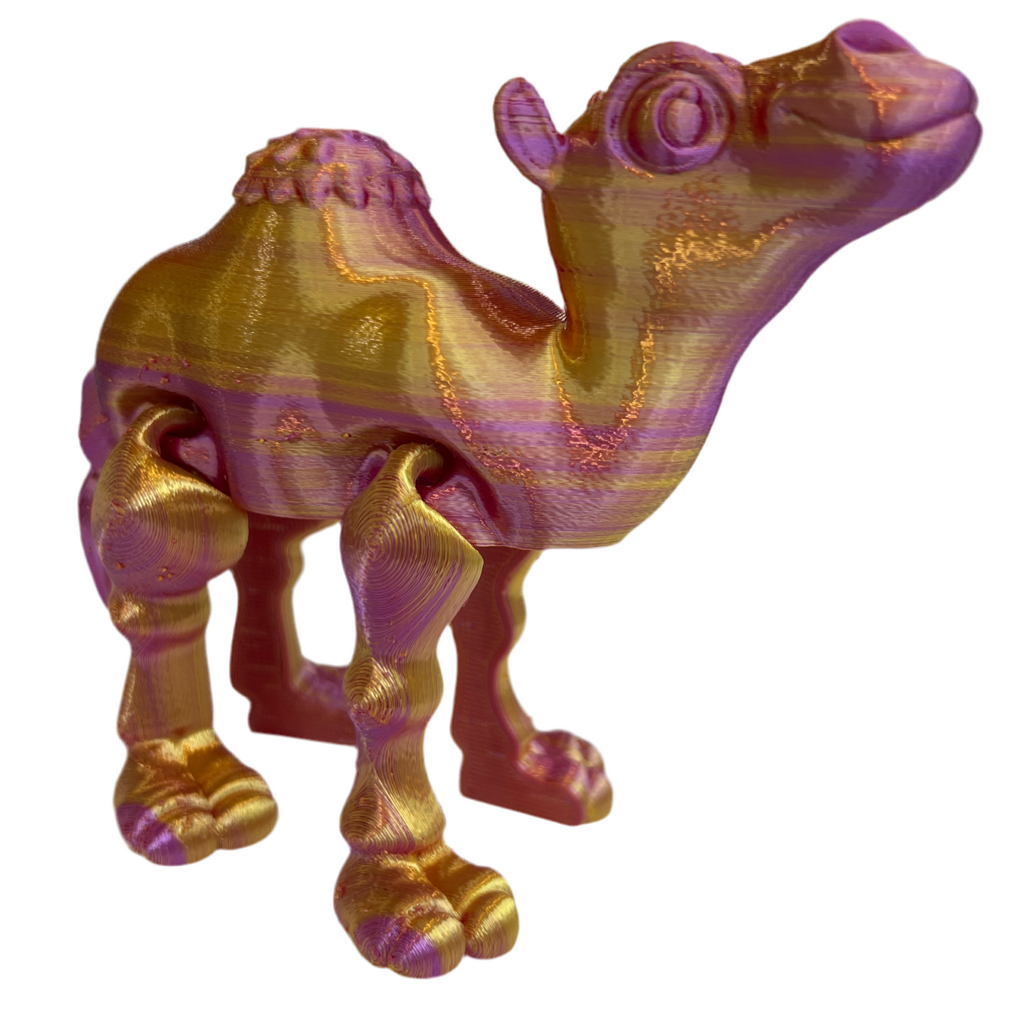 Camels