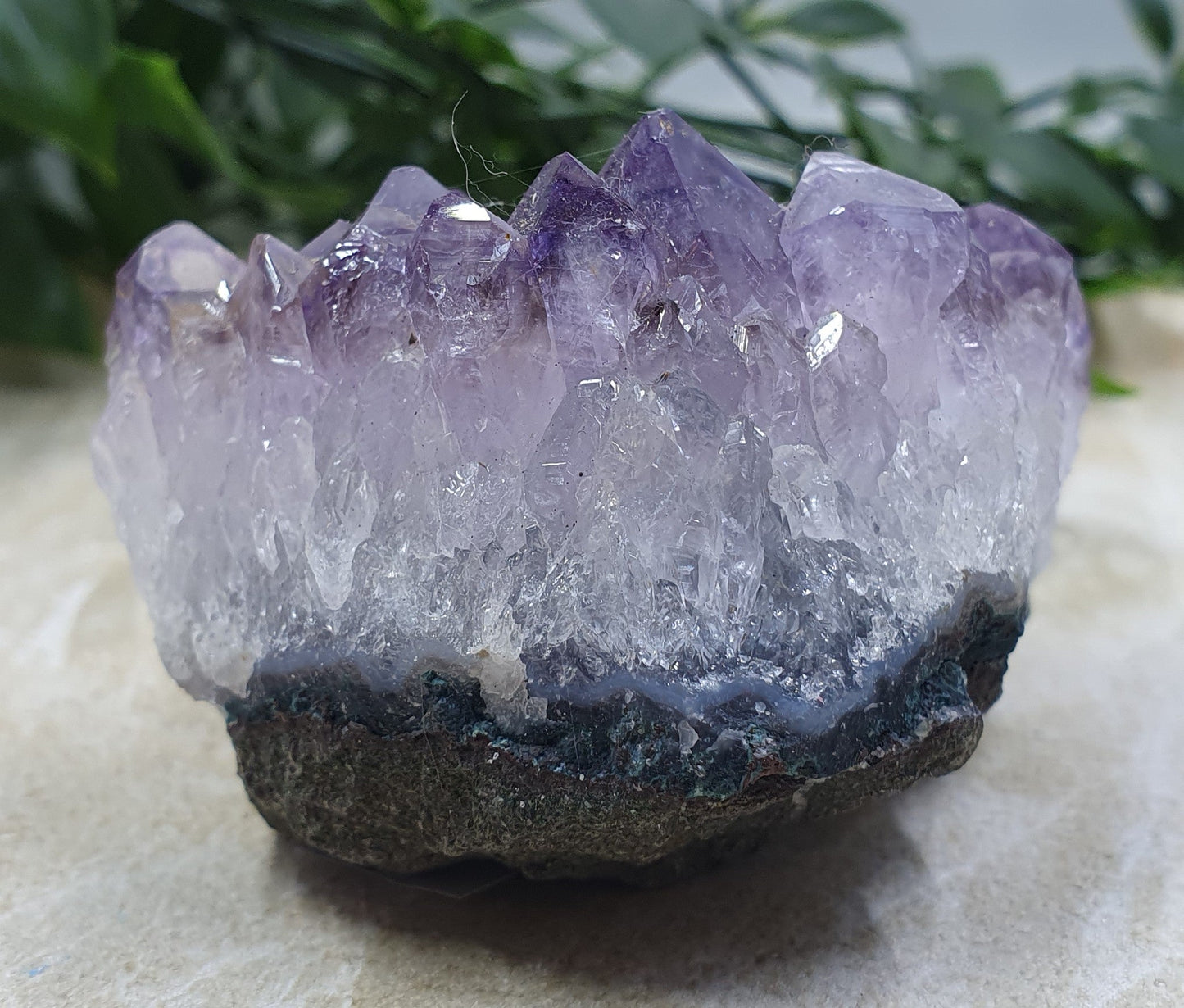 Amethyst Cluster #5