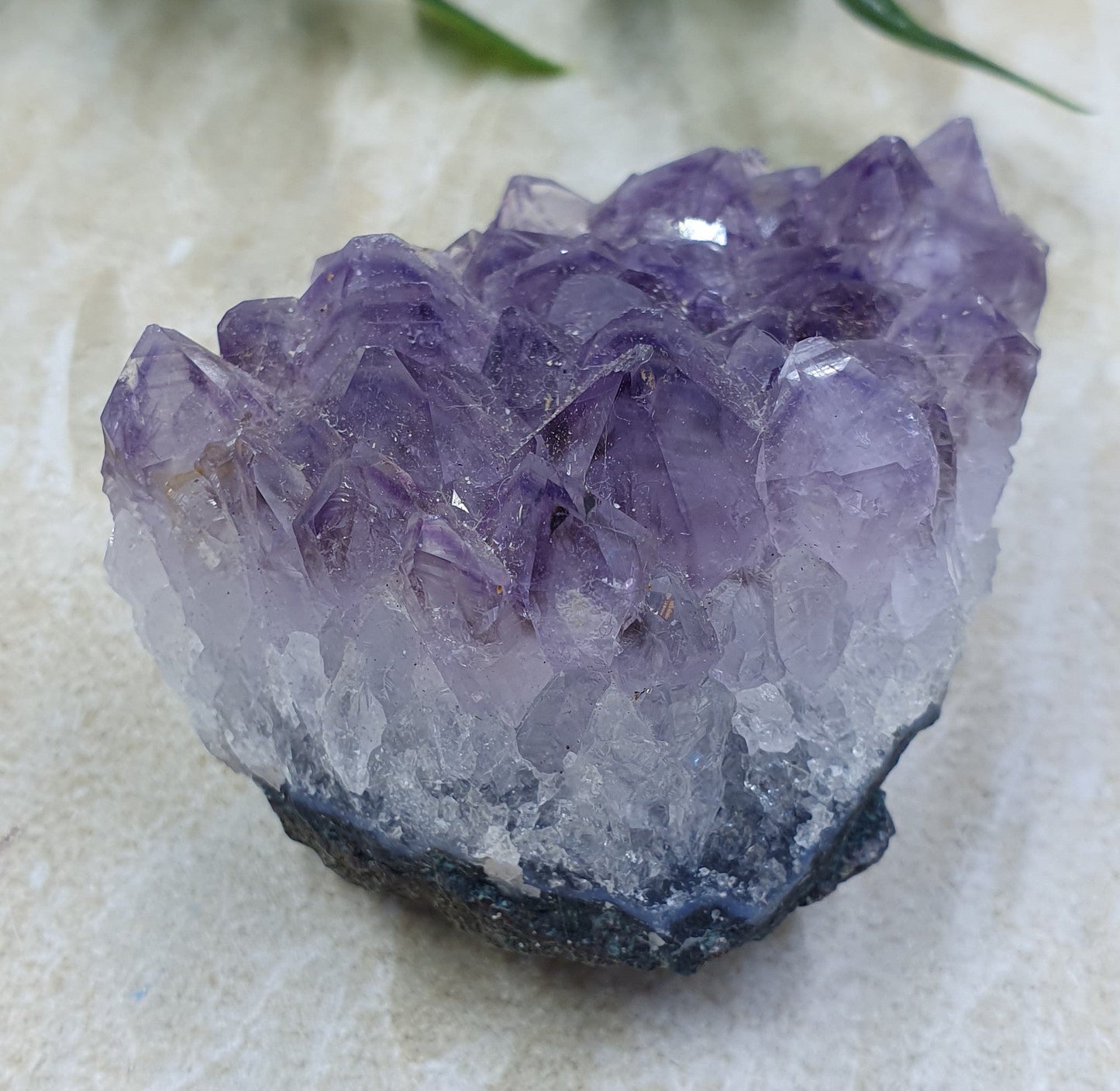 Amethyst Cluster #5