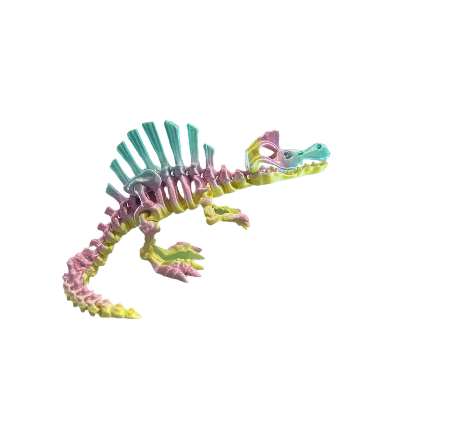 Spinosaurus Skeleton