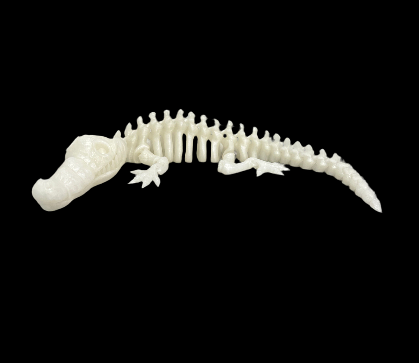 Skeleton Crocodiles