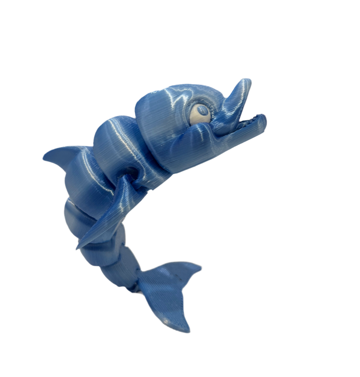 Dolphins