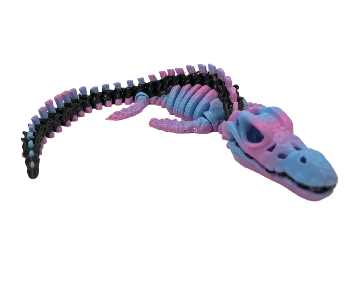 Mosasaurus Skeleton