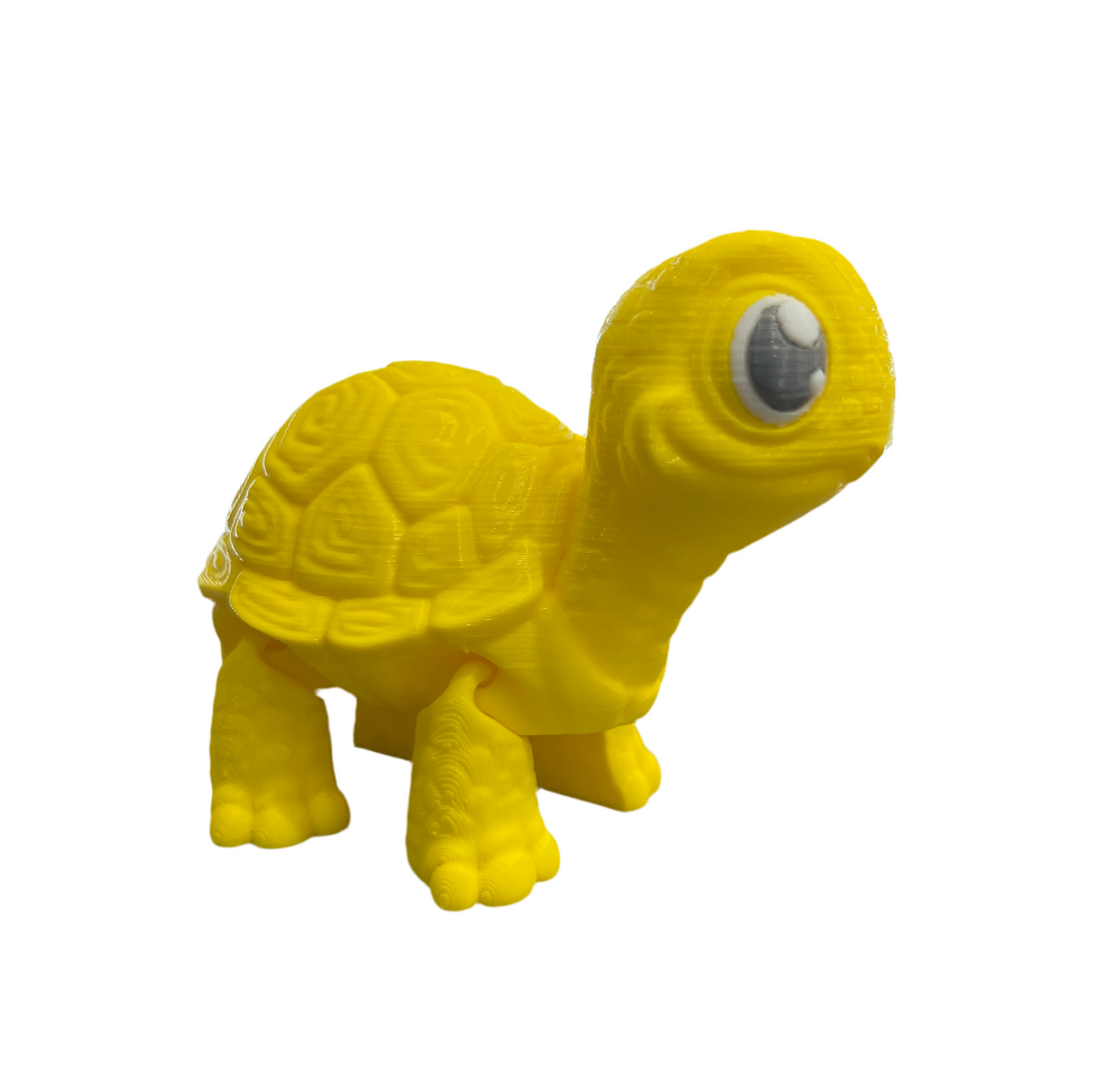 Cute Turtles