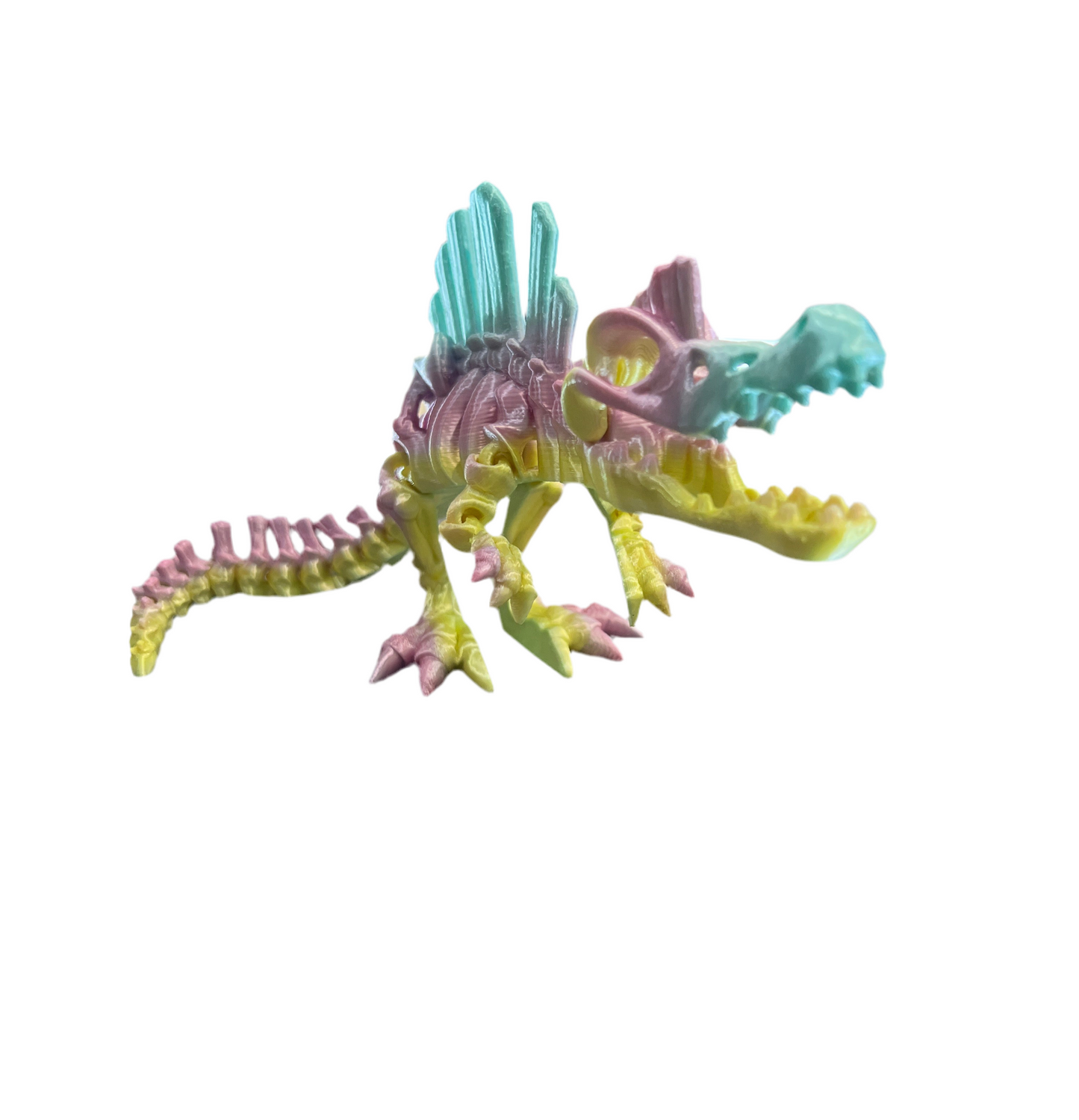 Spinosaurus Skeleton
