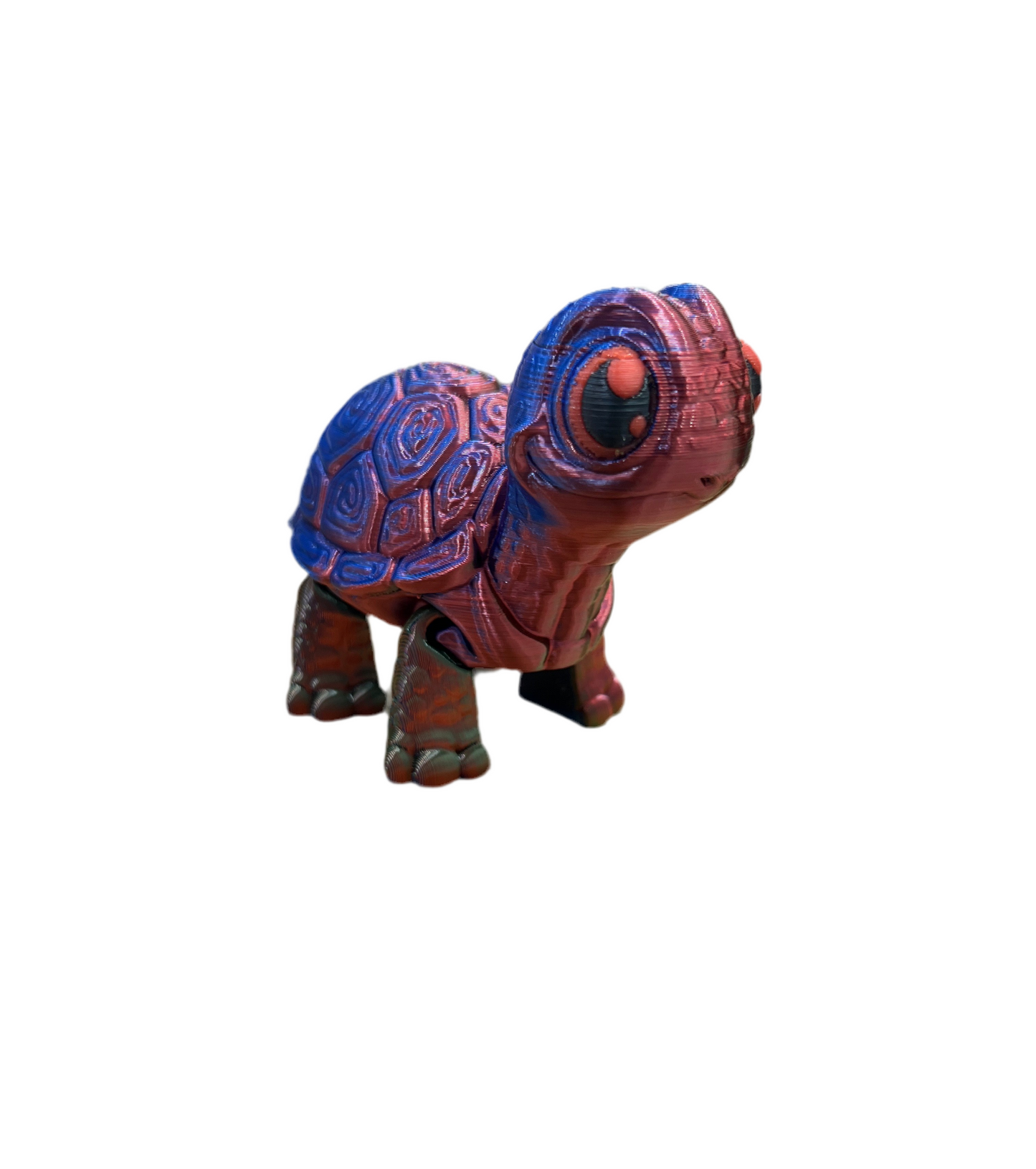 Cute Turtles