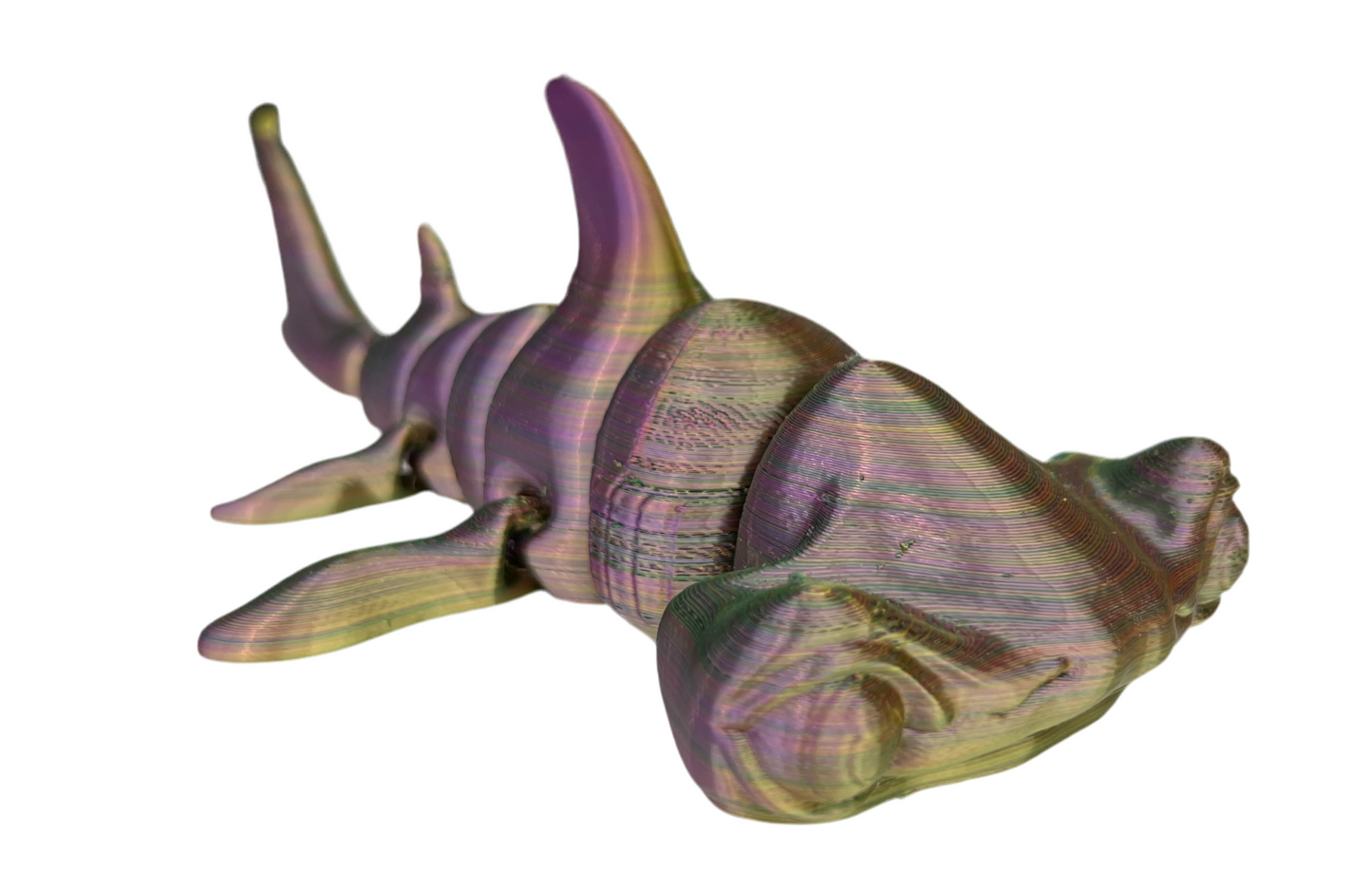 Hammerhead Sharks