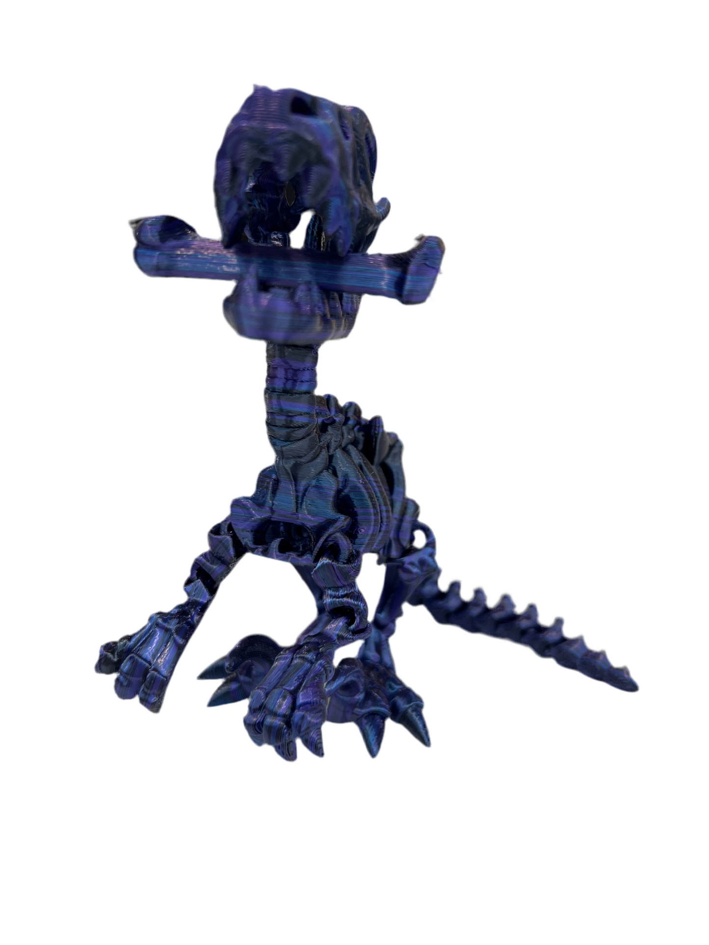 Raptor Skeleton