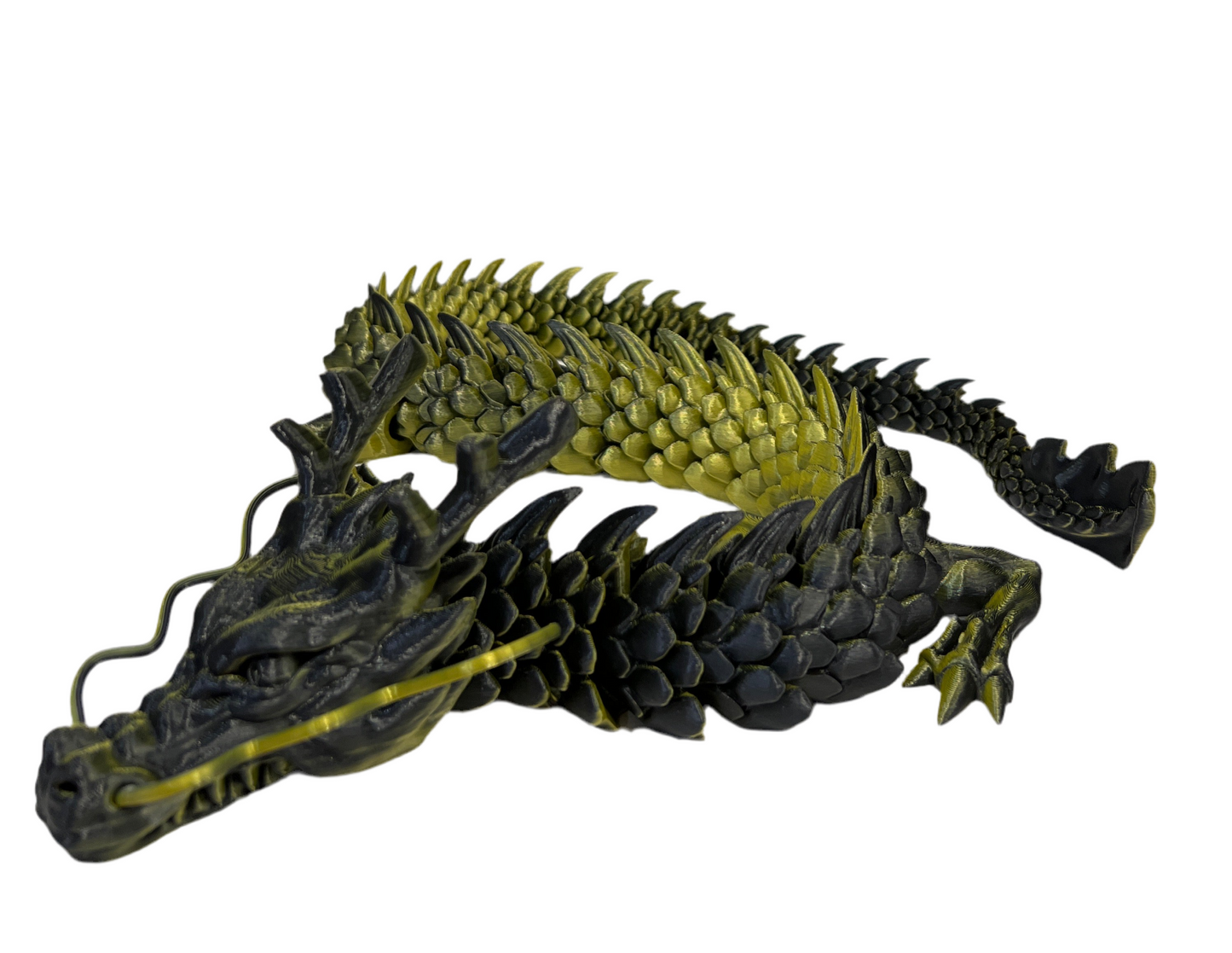 Imperial Dragons - X Large