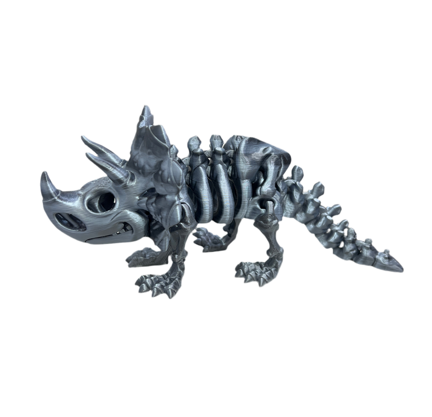 Triceratops Skeleton