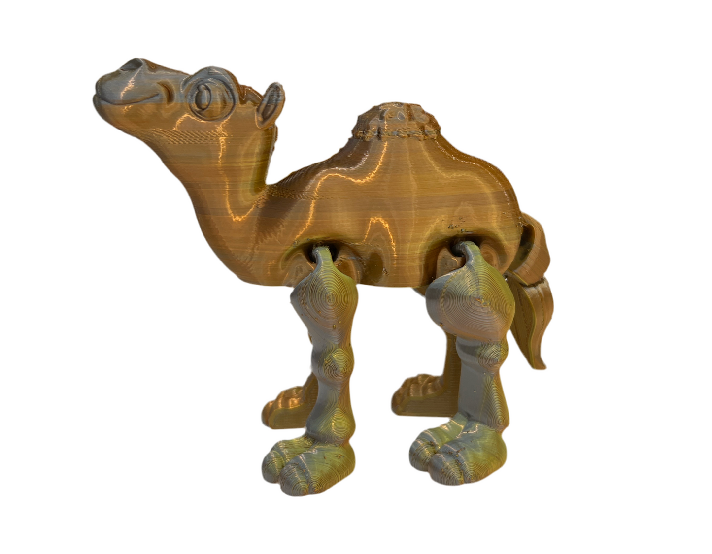 Camels