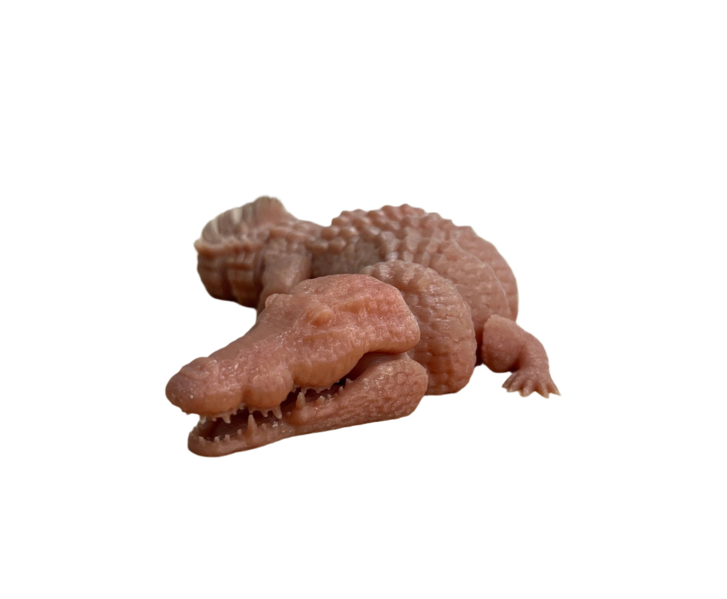 Crocodiles
