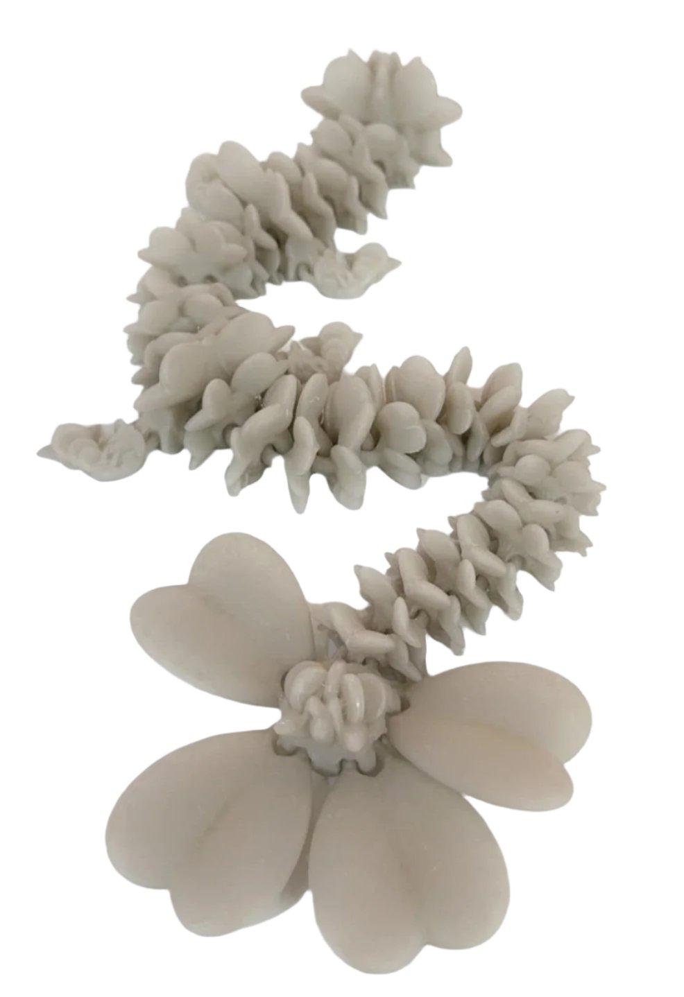 Clover Dragons