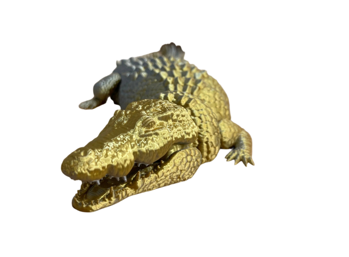 Crocodiles