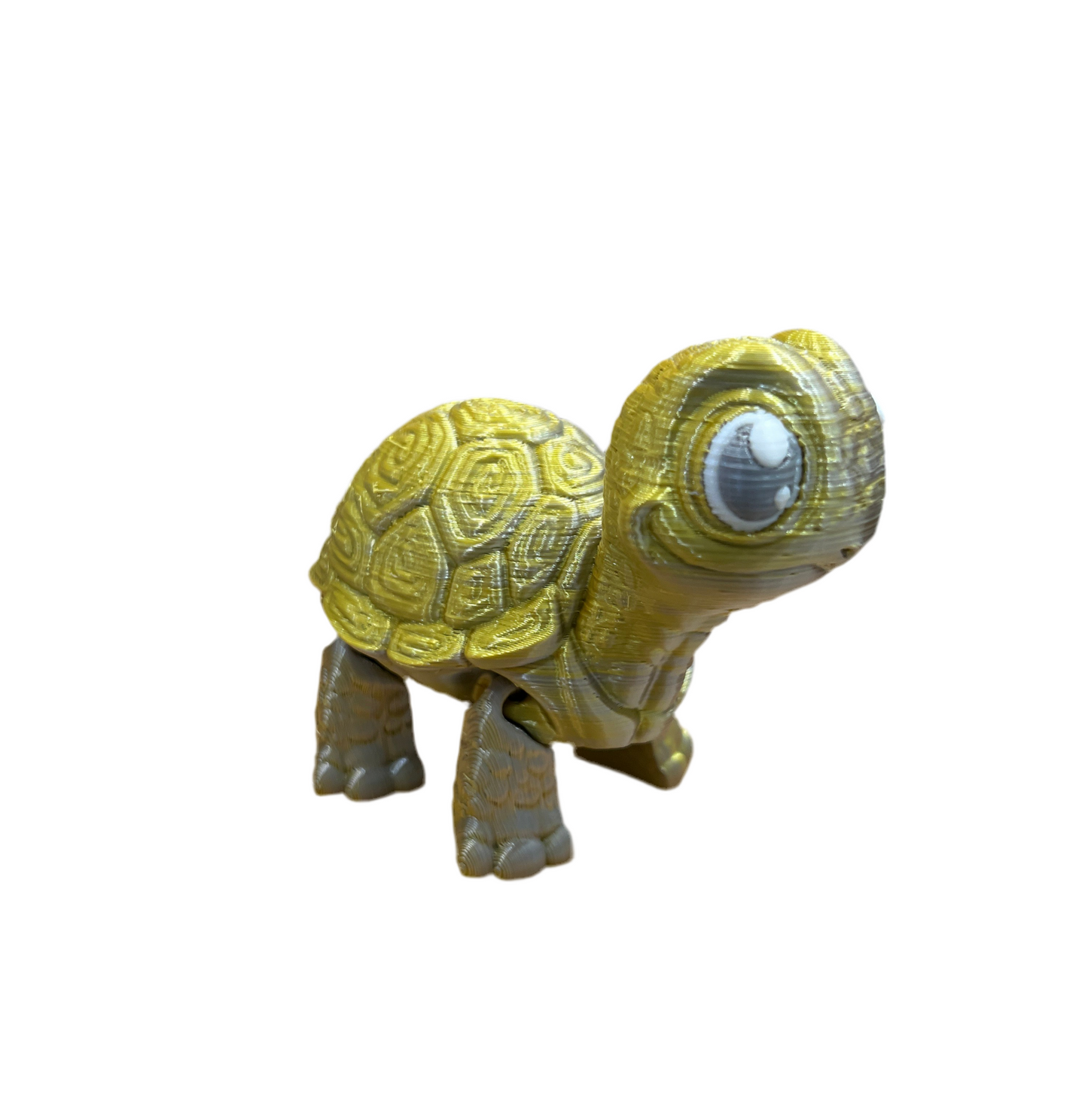 Cute Turtles