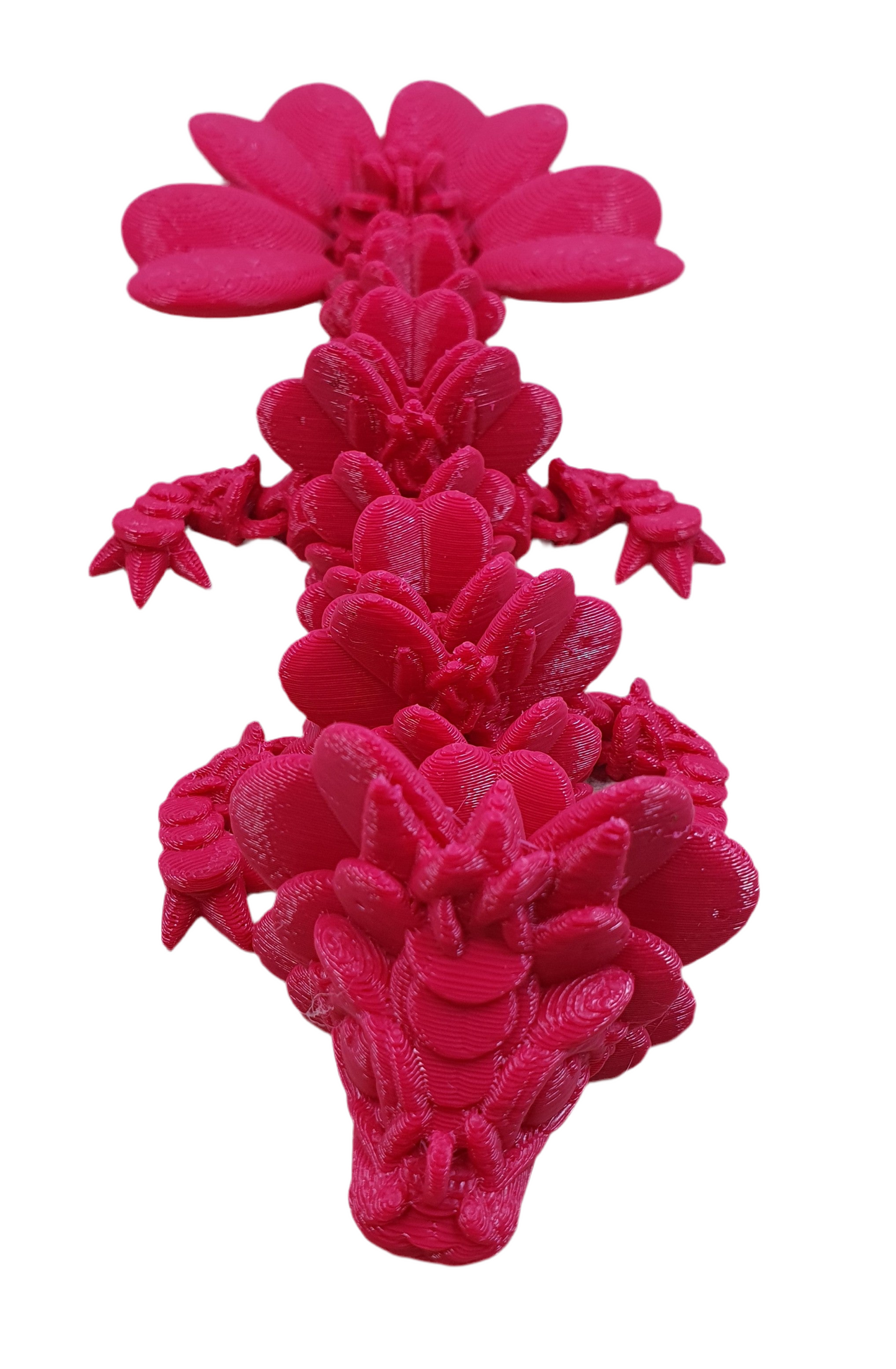 Baby Clover Dragons