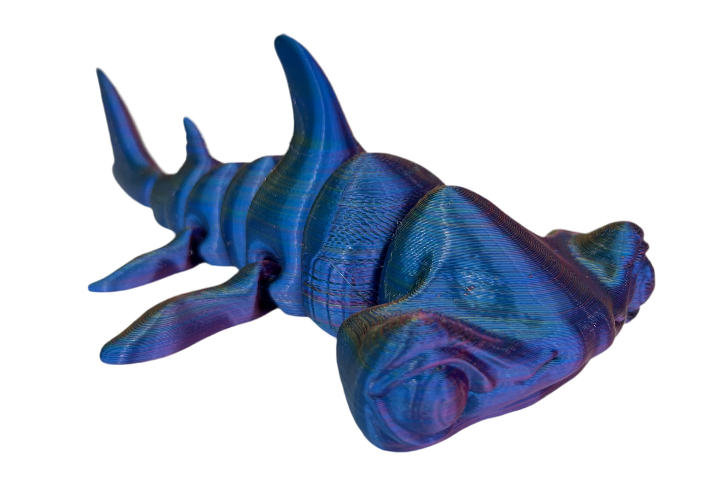 Hammerhead Sharks