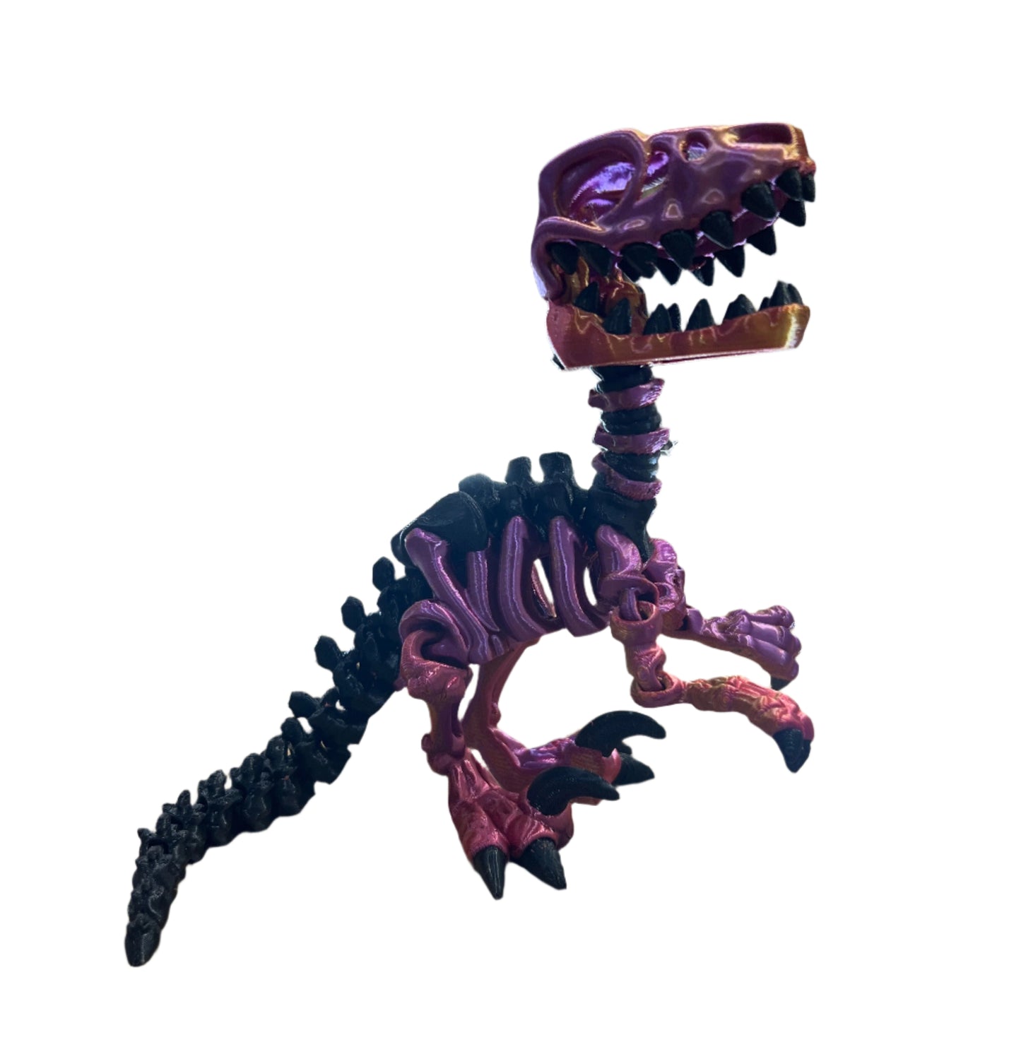 Raptor Skeleton