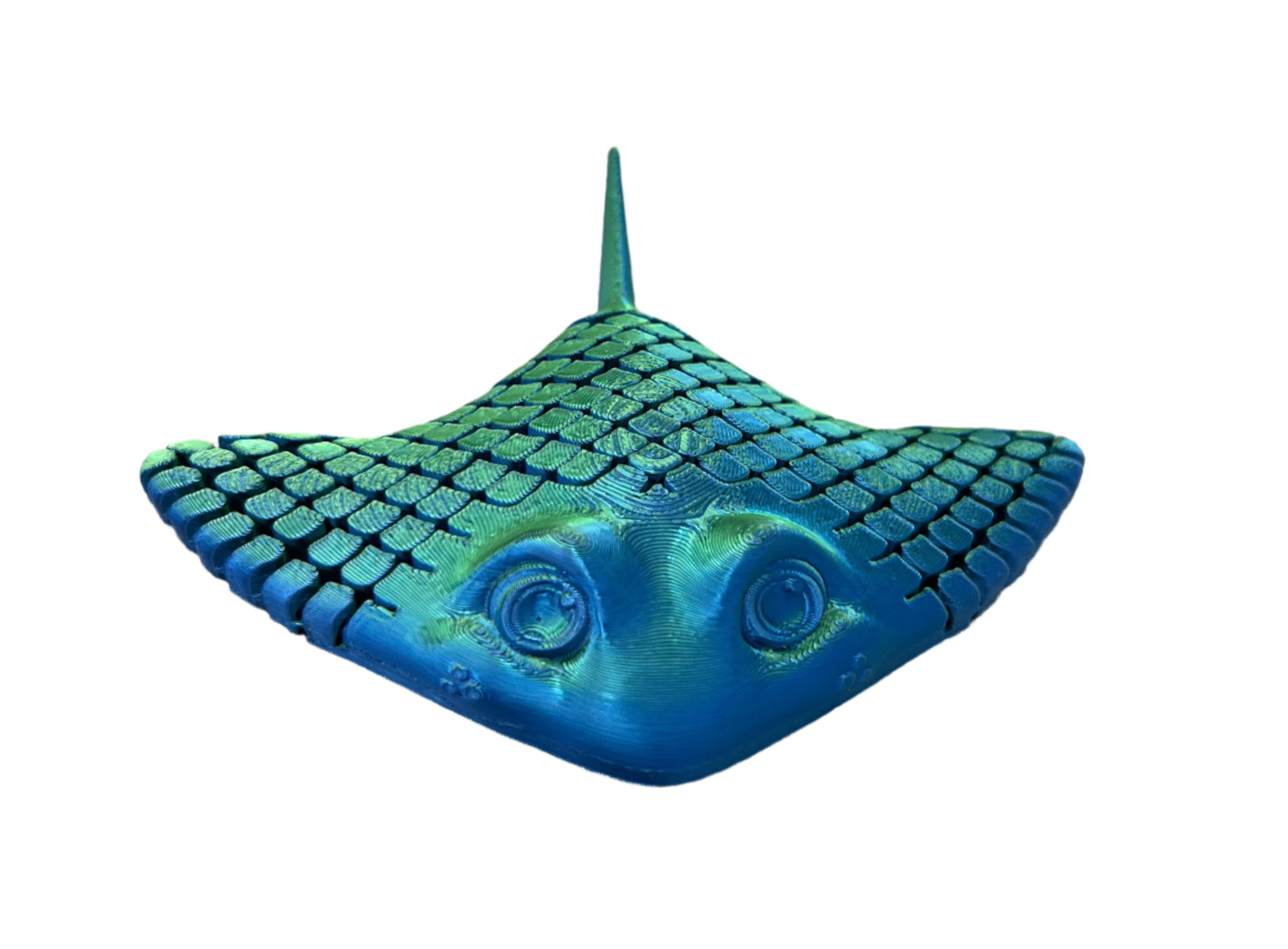 Stingrays - Small