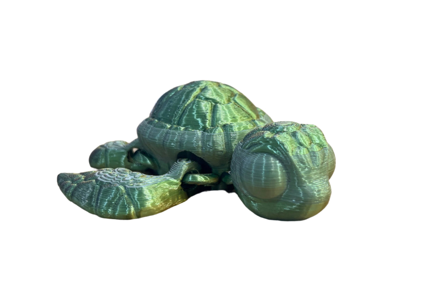 Sea Turtles