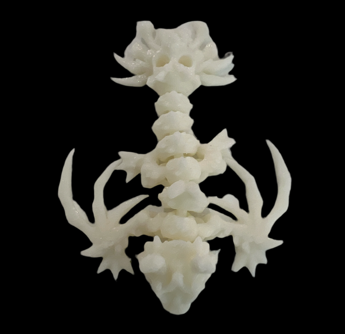 Baby Hollow Dragons