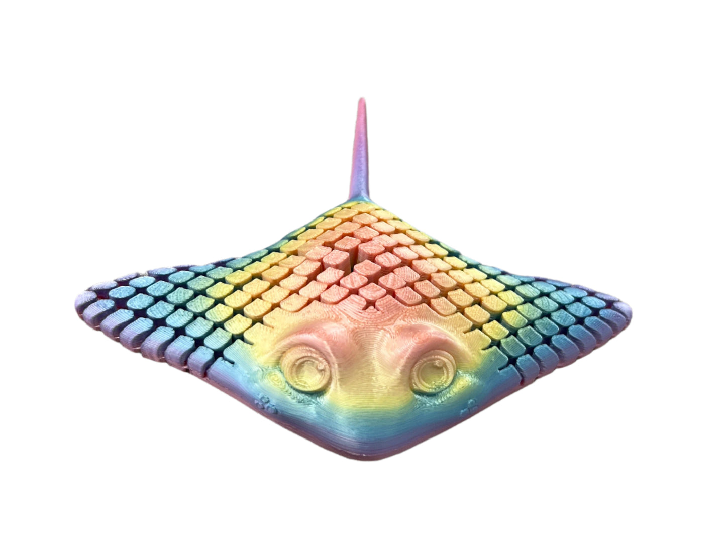 Stingrays - Small