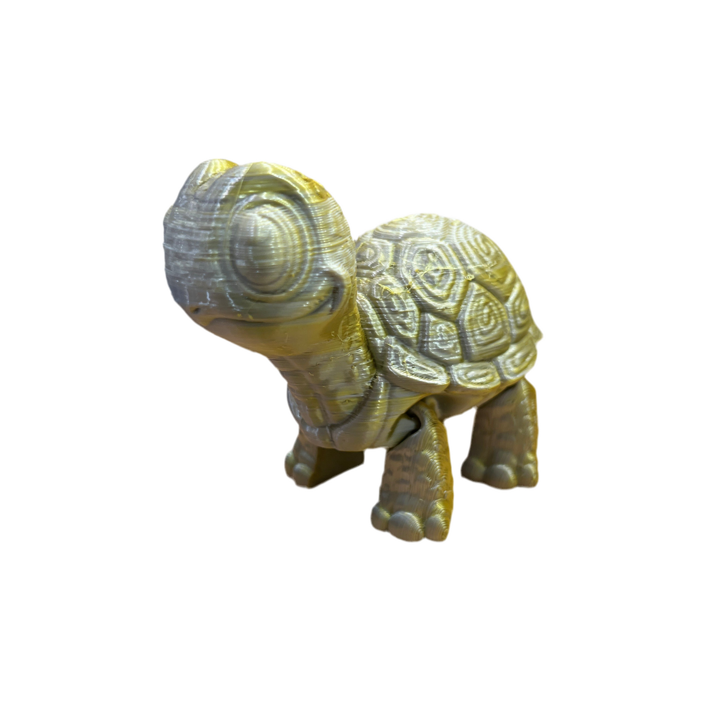 Cute Turtles