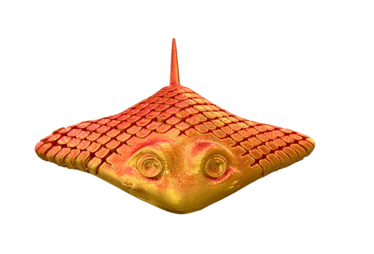 Stingrays - Small