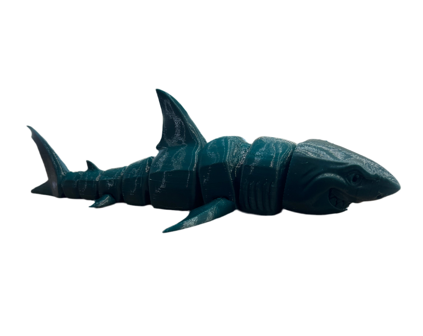 Great White Sharks