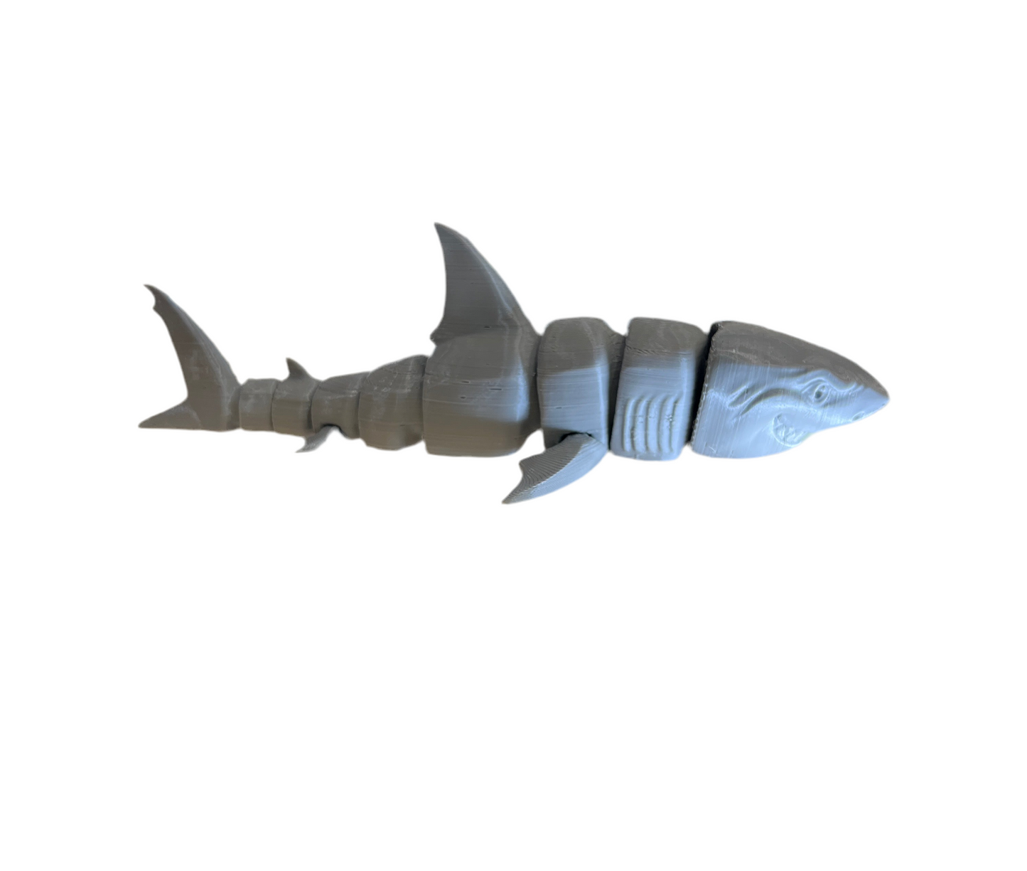 Great White Sharks