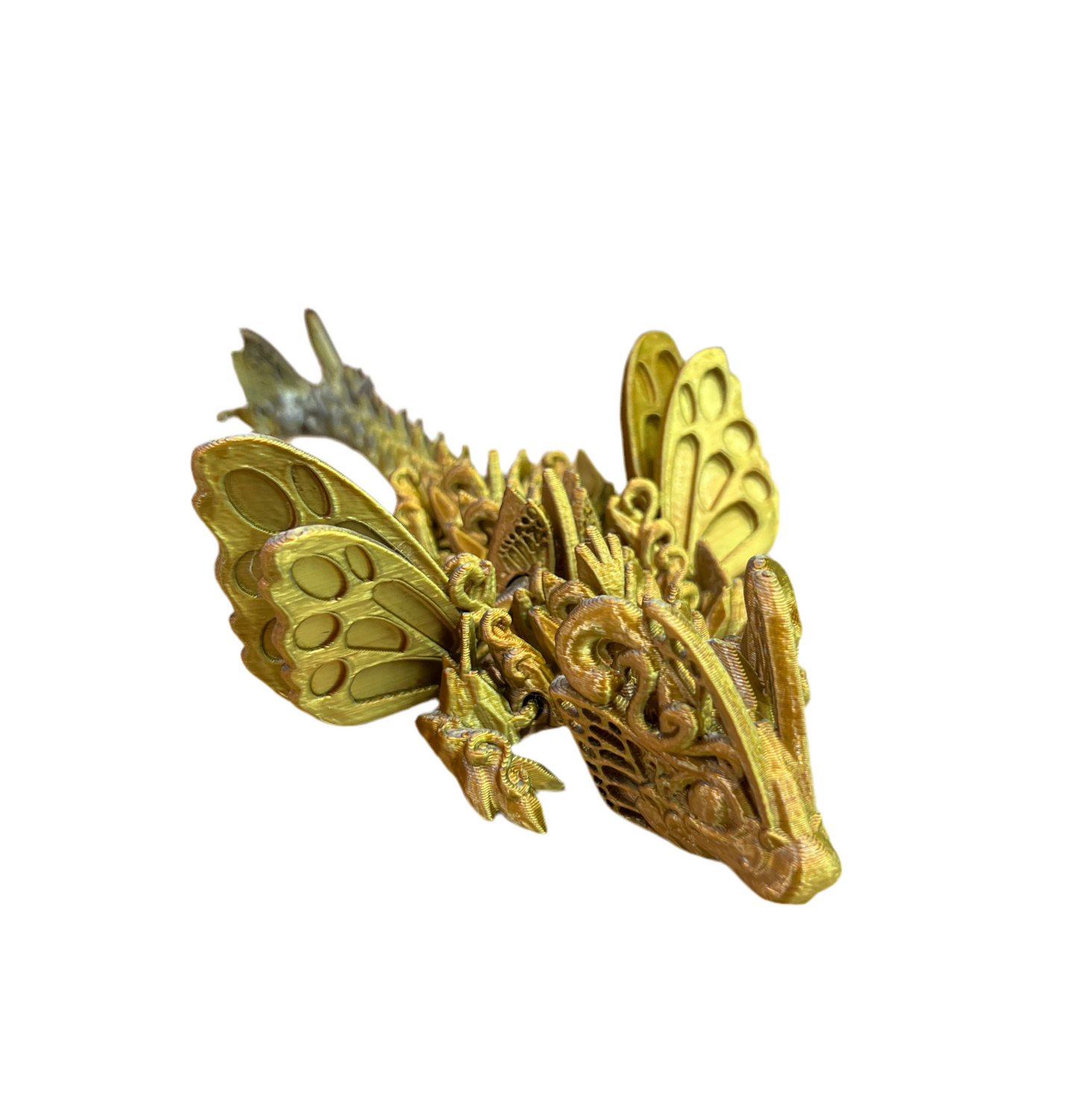 Baby Butterfly Dragons