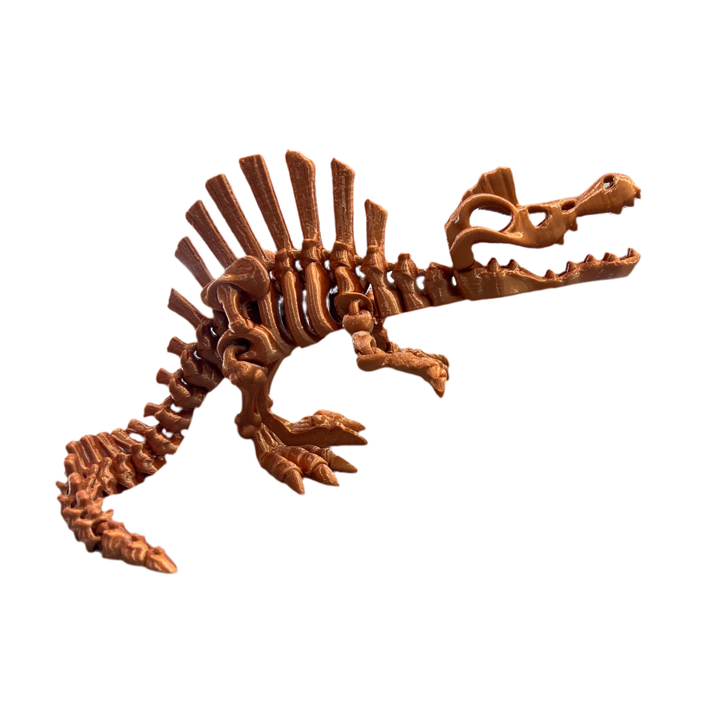 Spinosaurus Skeleton