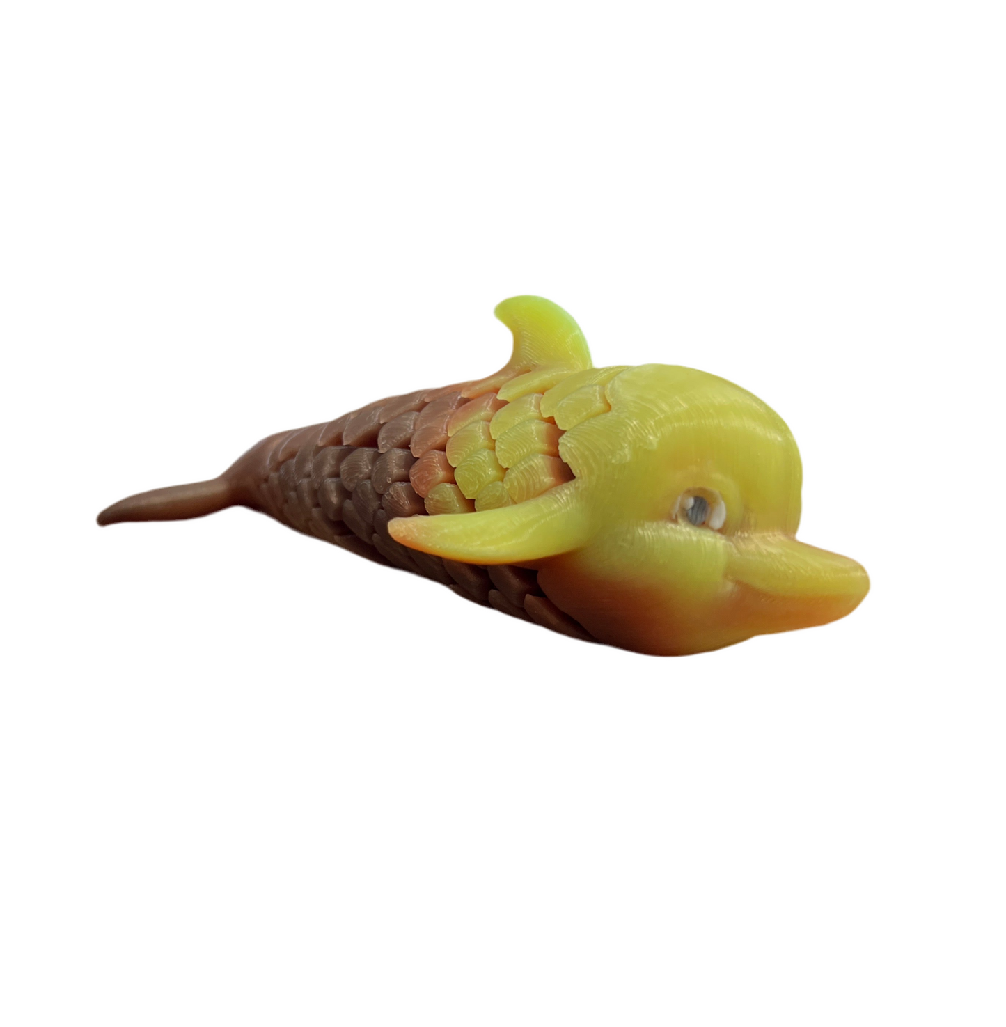 Dolphin