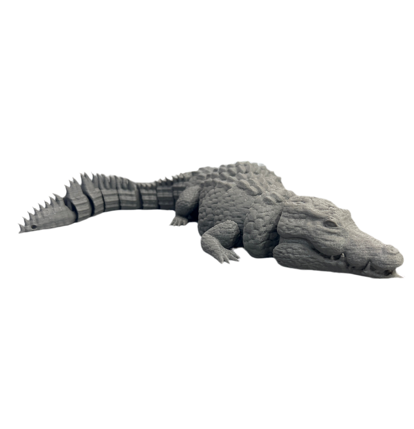 Crocodiles