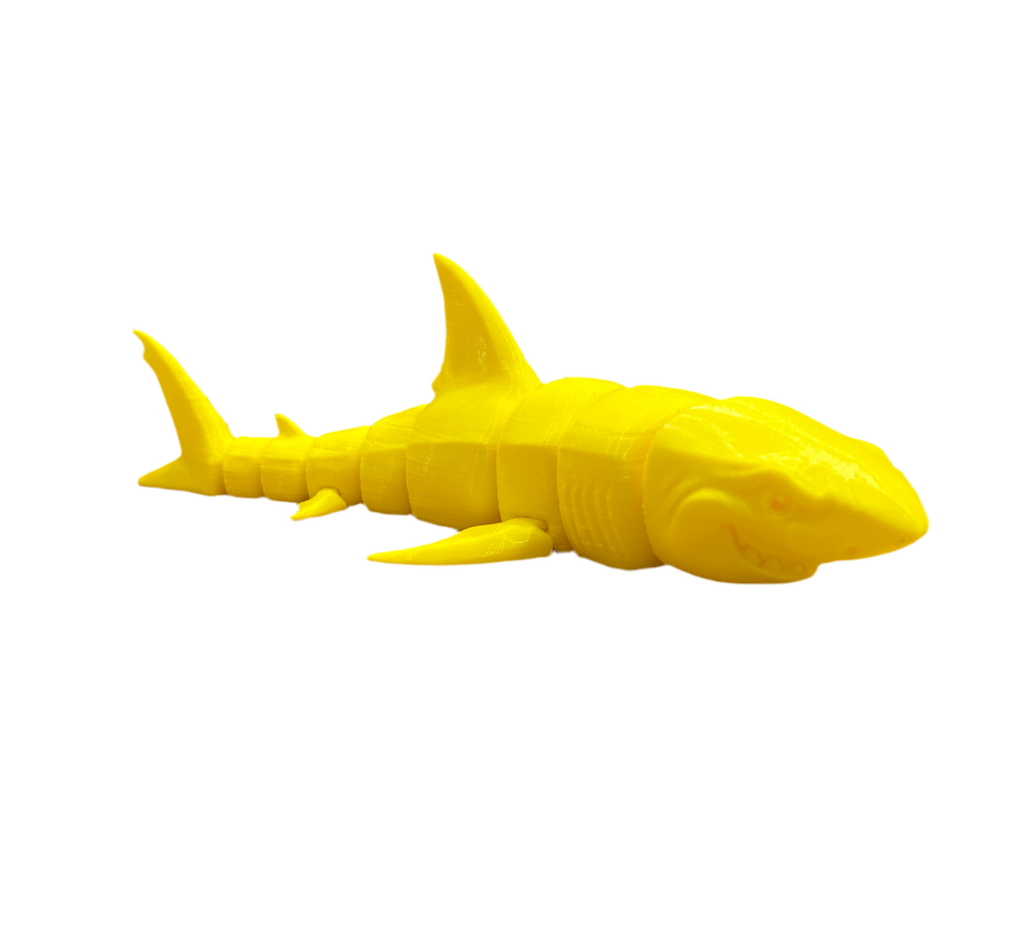 Great White Sharks
