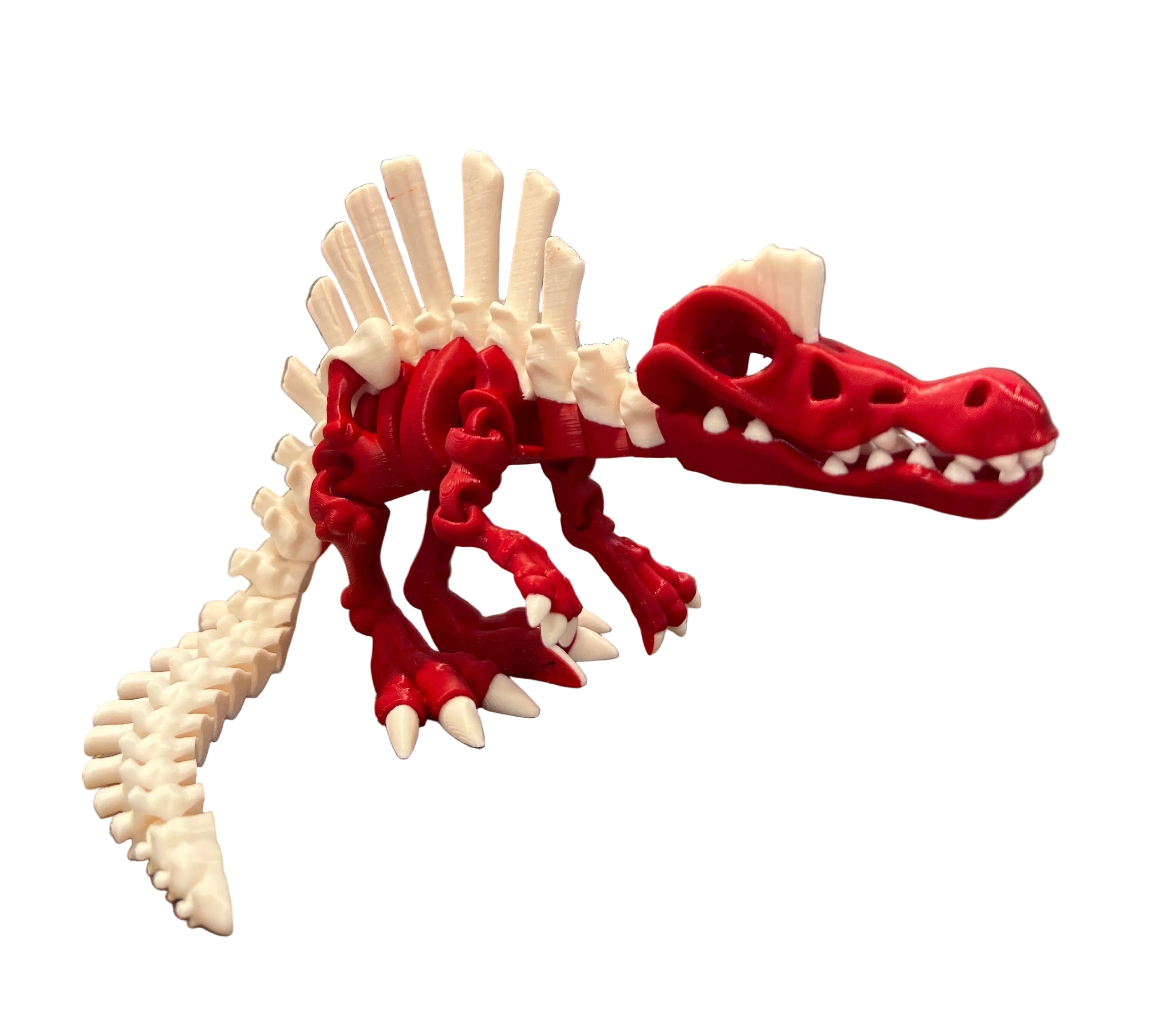 Spinosaurus Skeleton - Large