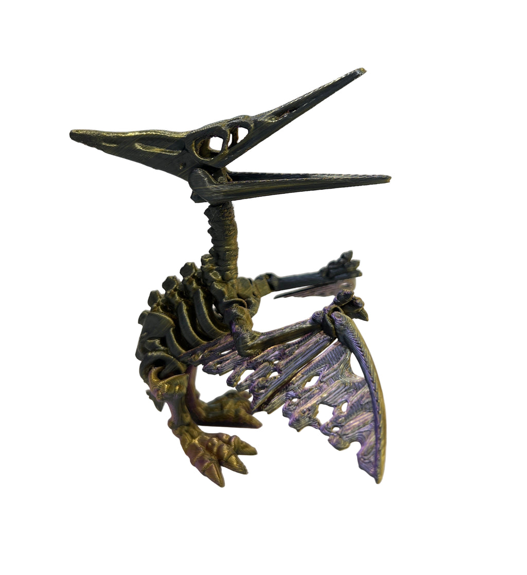 Skeleton Pterodactyl