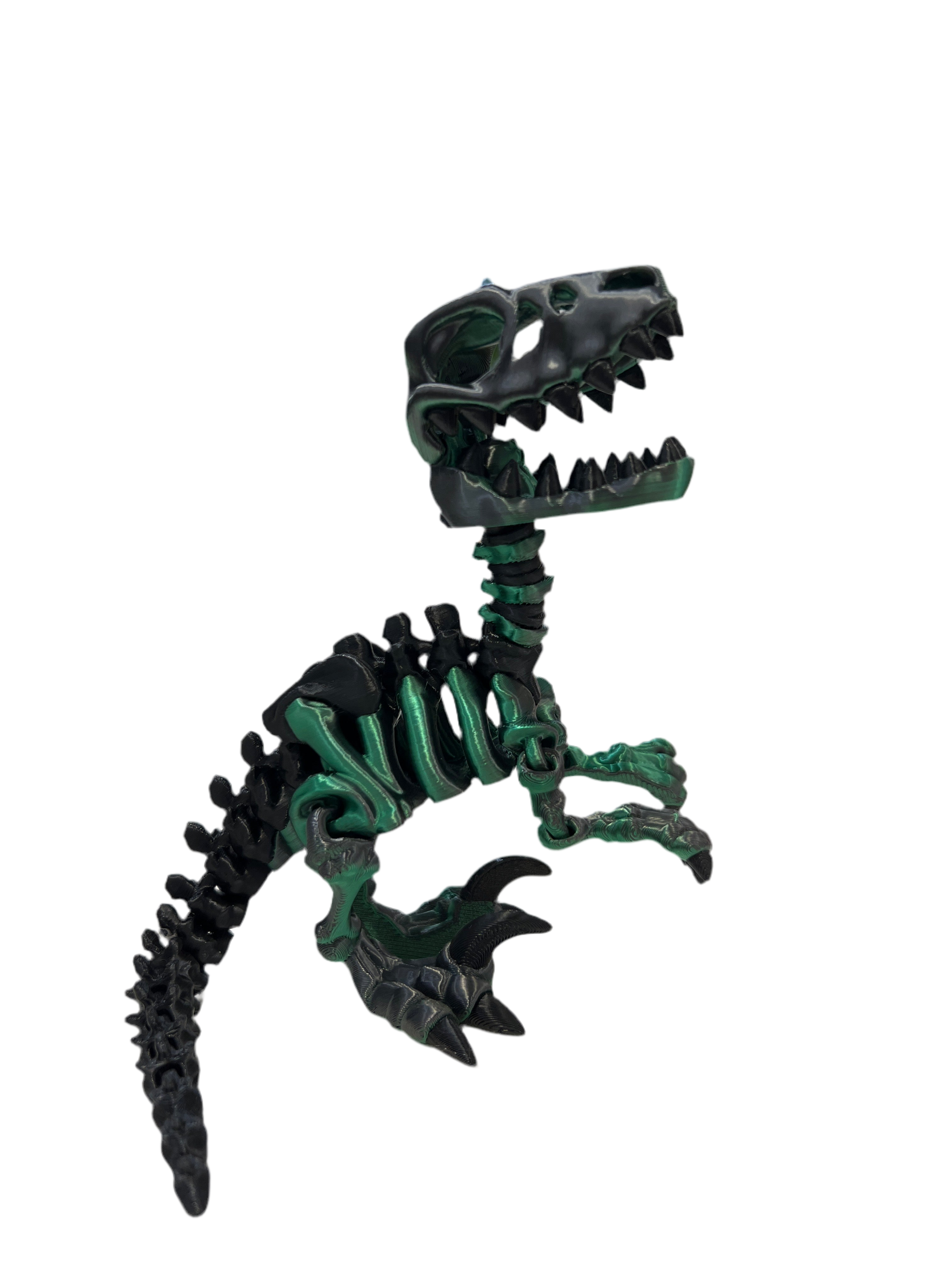 Raptor Skeleton