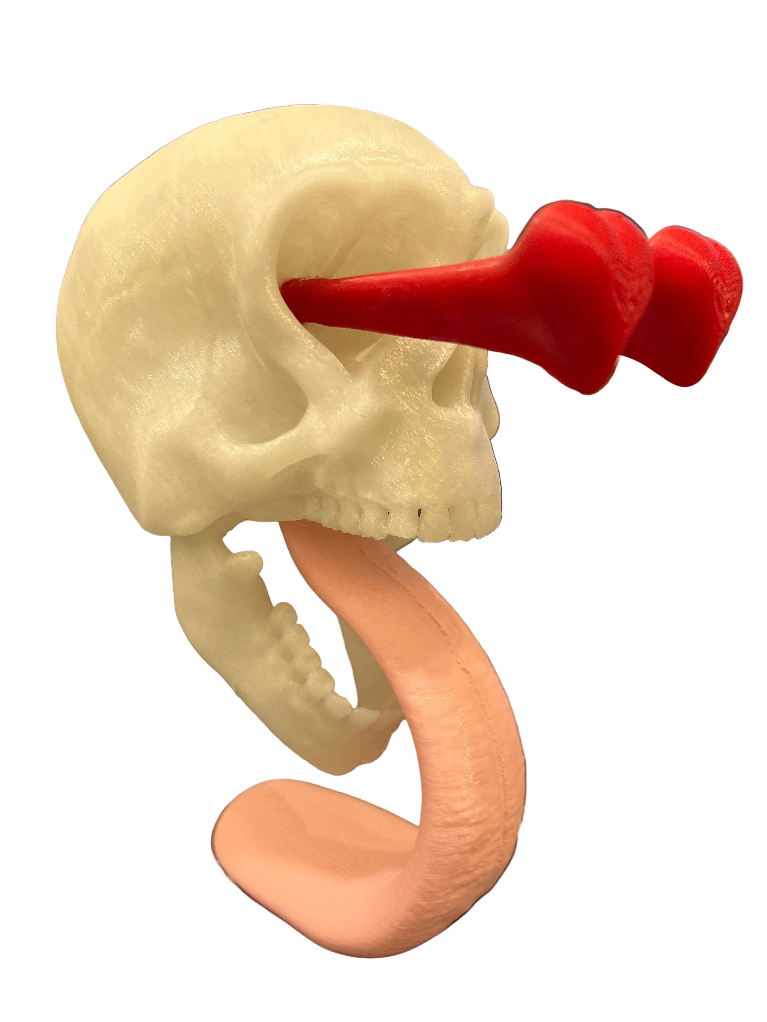 Skull in Love