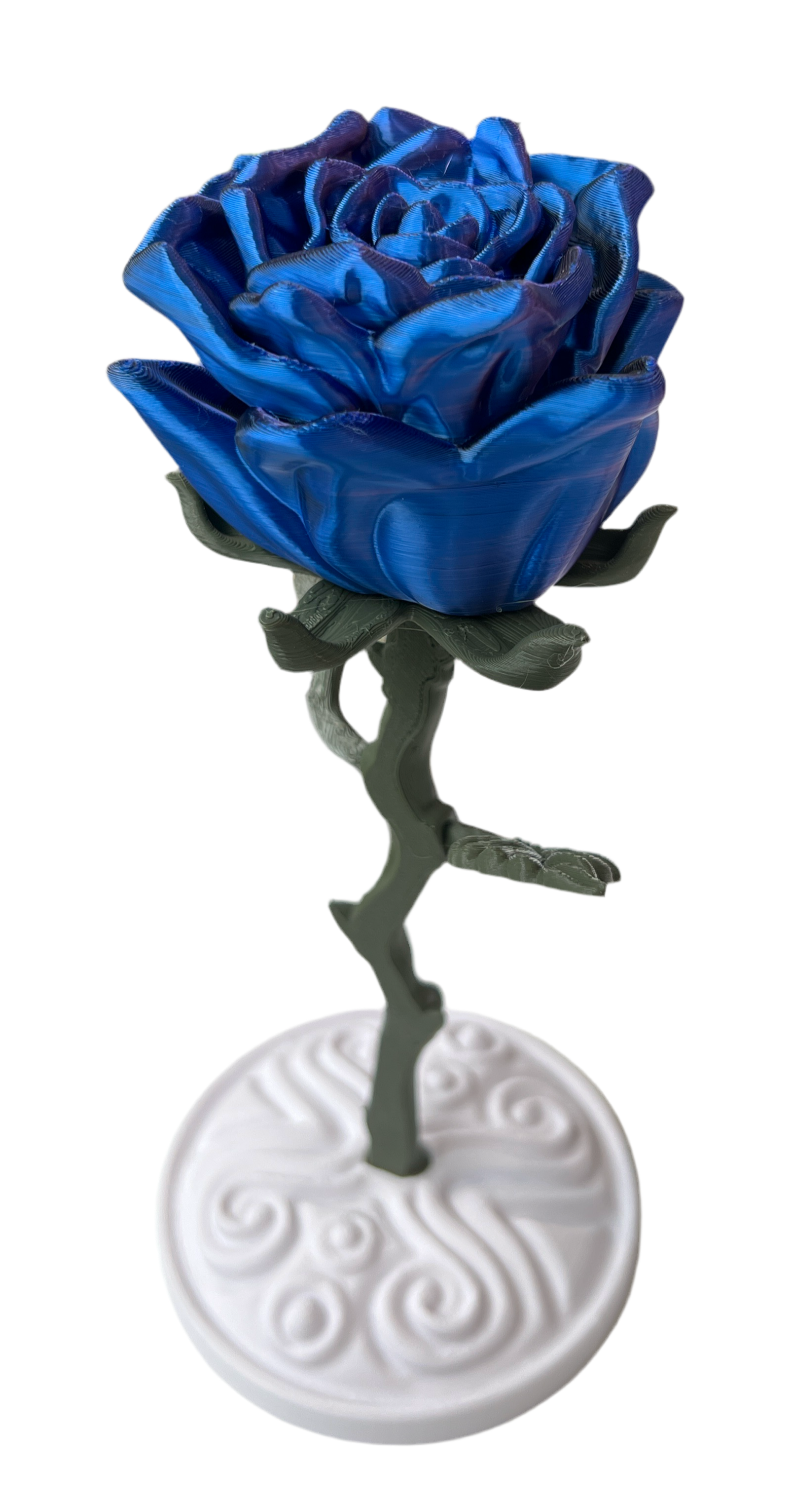 Valentines Roses