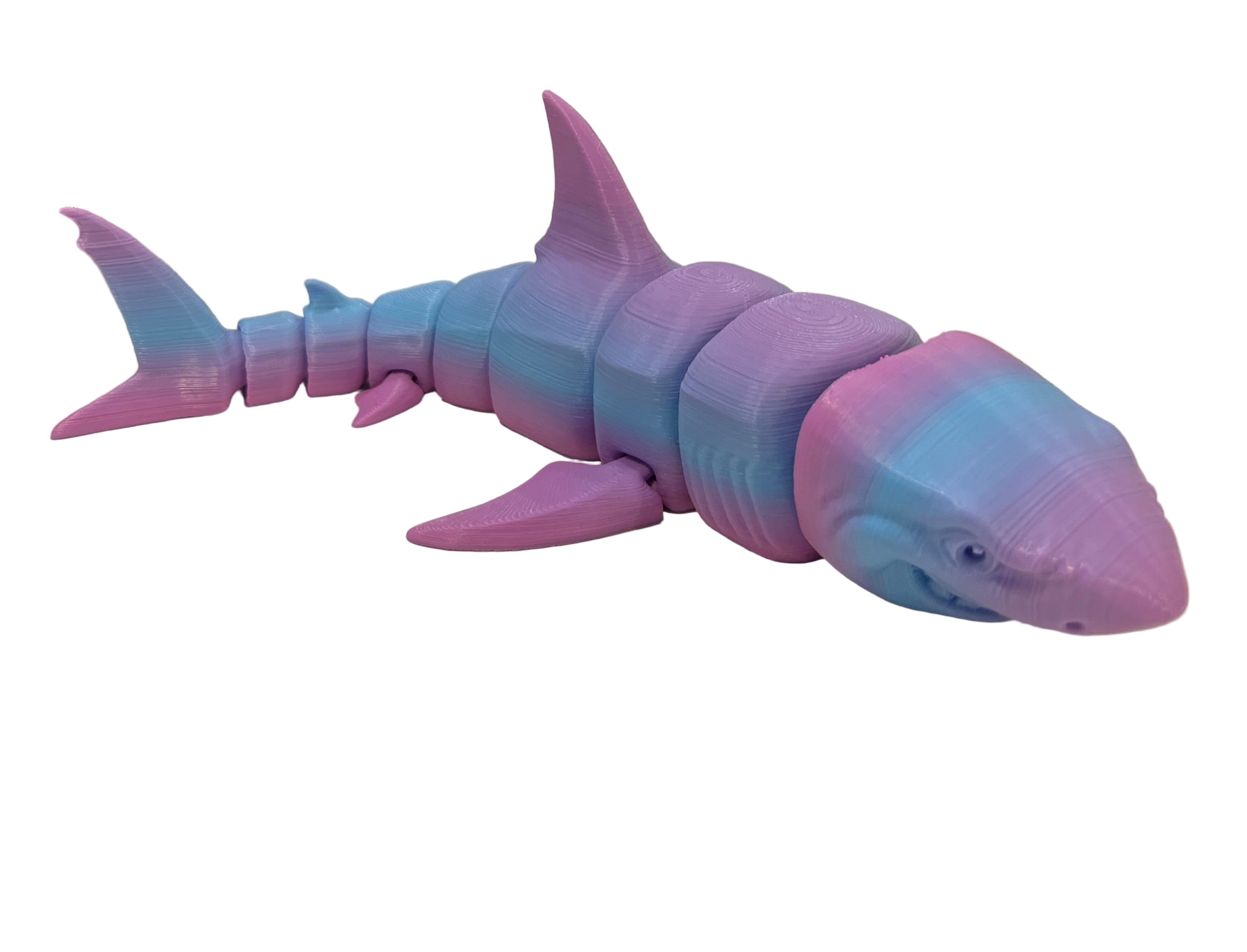 Great White Sharks - Large