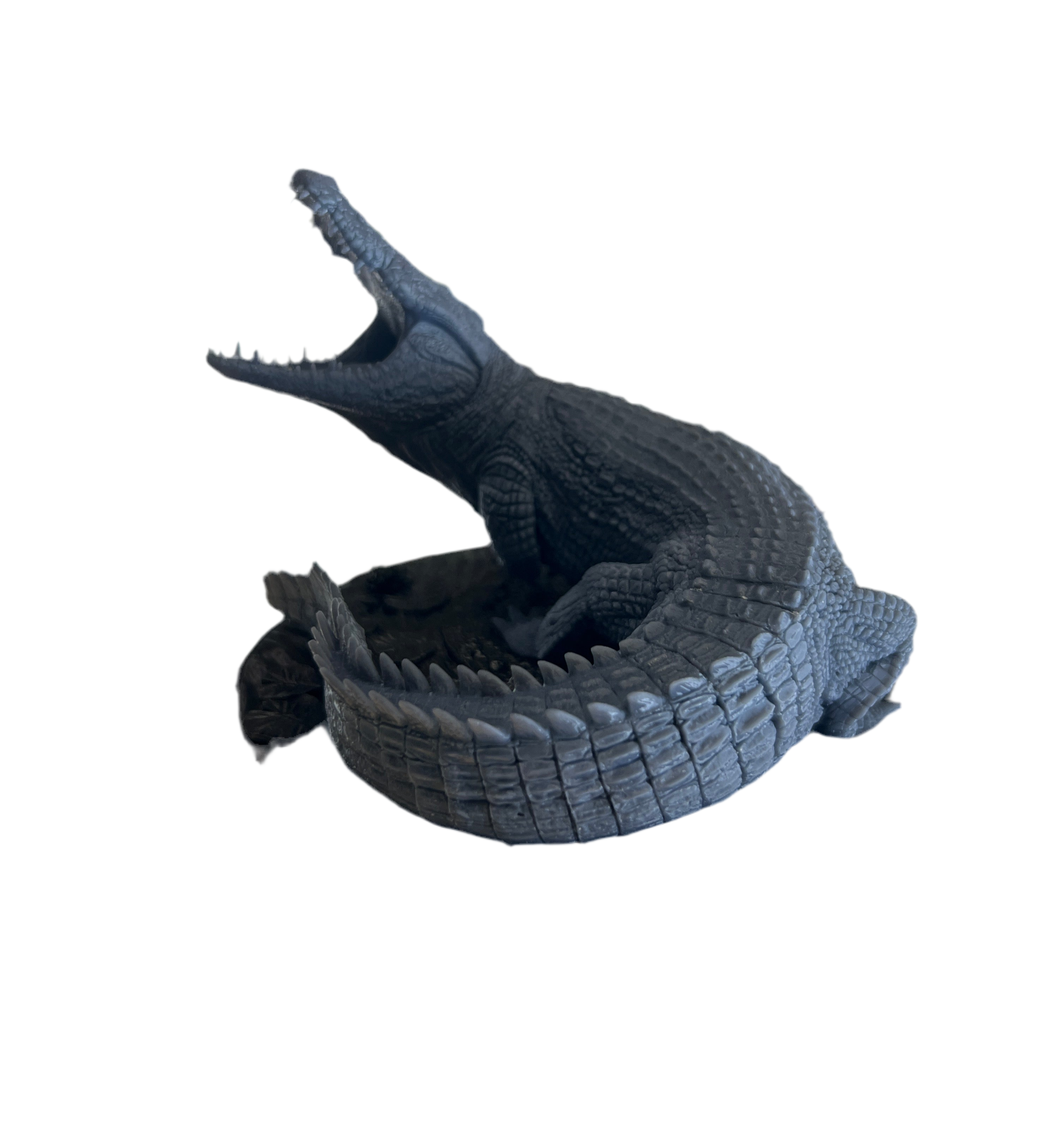 Swamp Crocodile