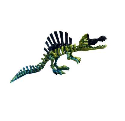 Spinosaurus Skeleton
